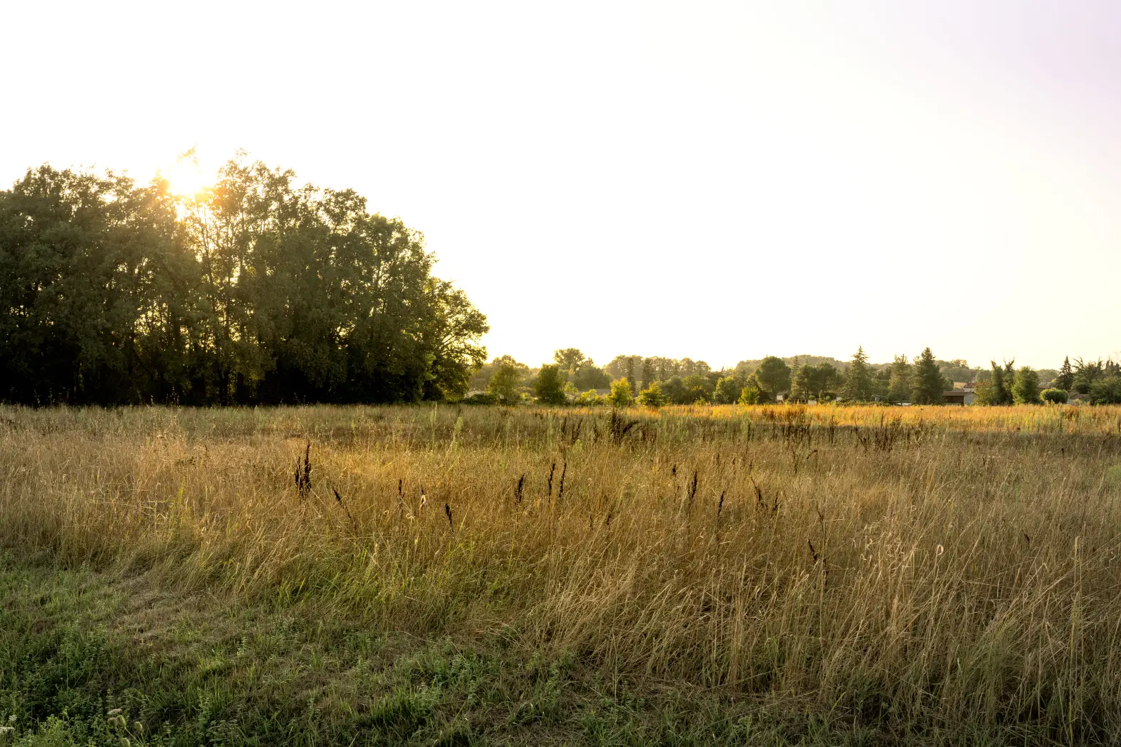 Le Bivouac des Bastides