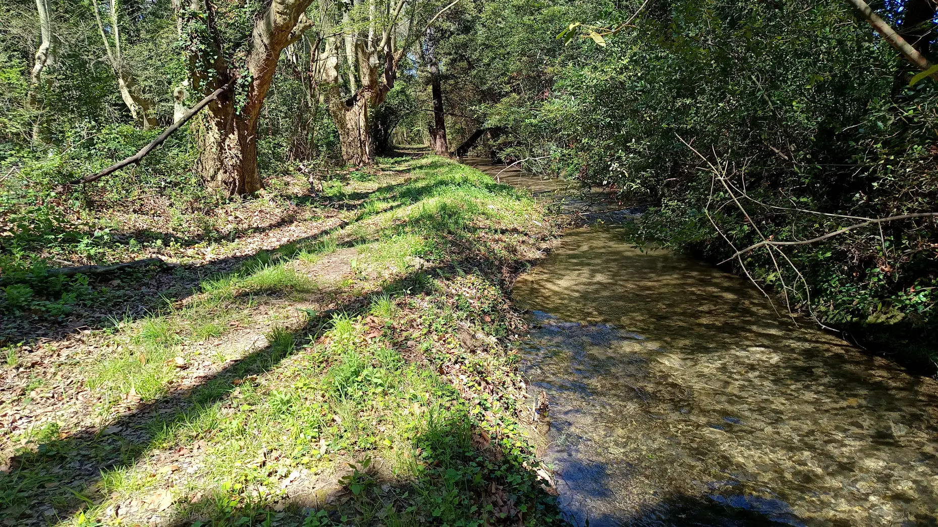 Au bord de Malaven