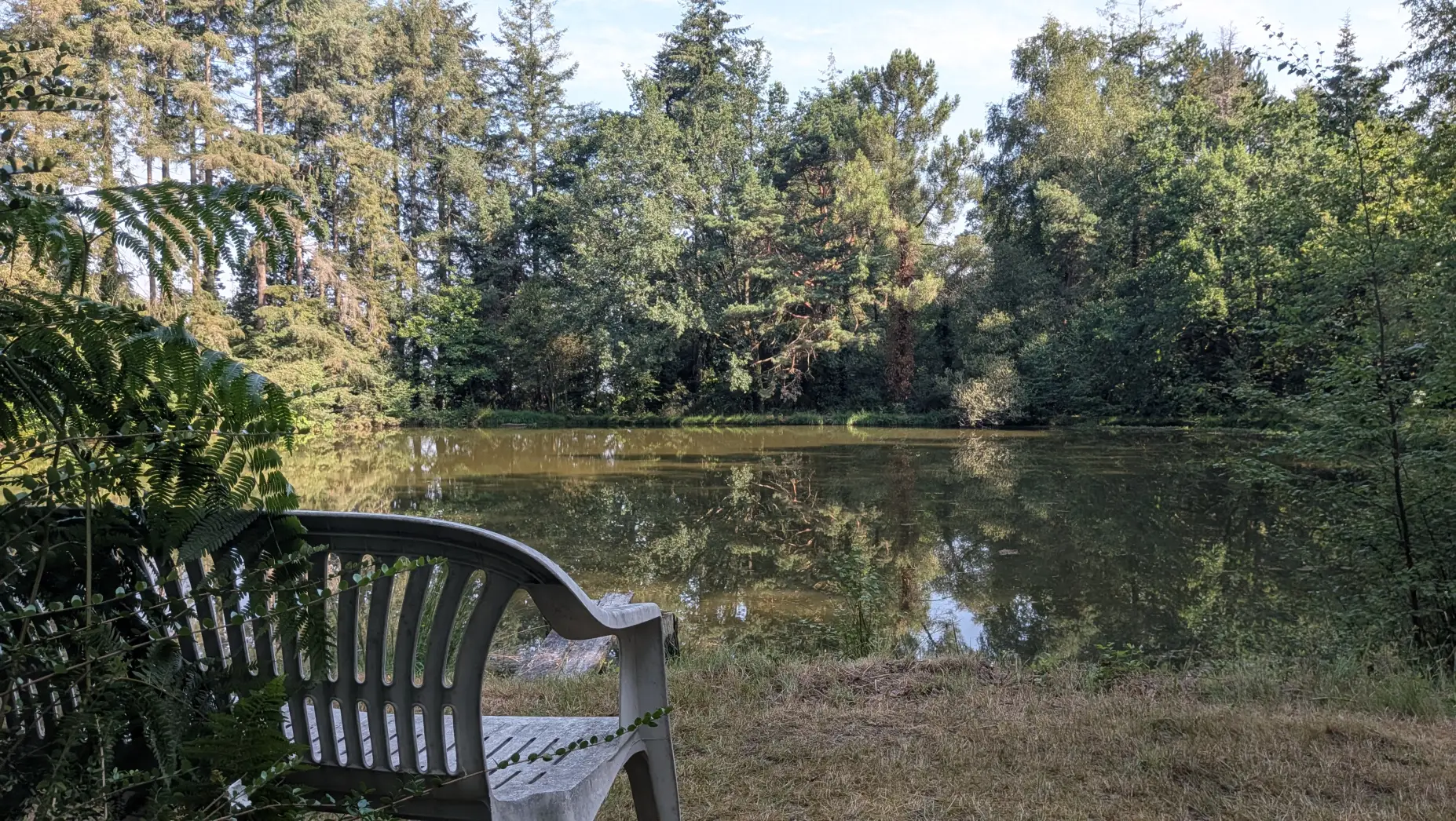 L'étang de Brocéliande