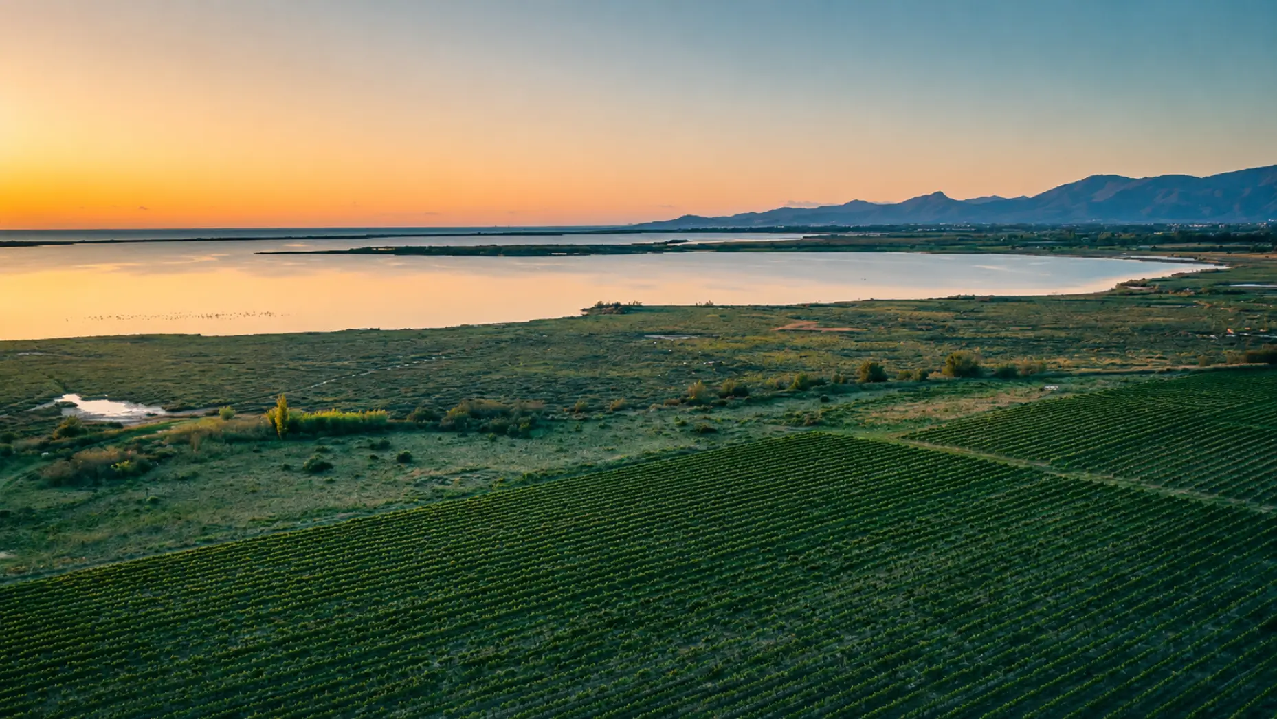 L'étang de Canet