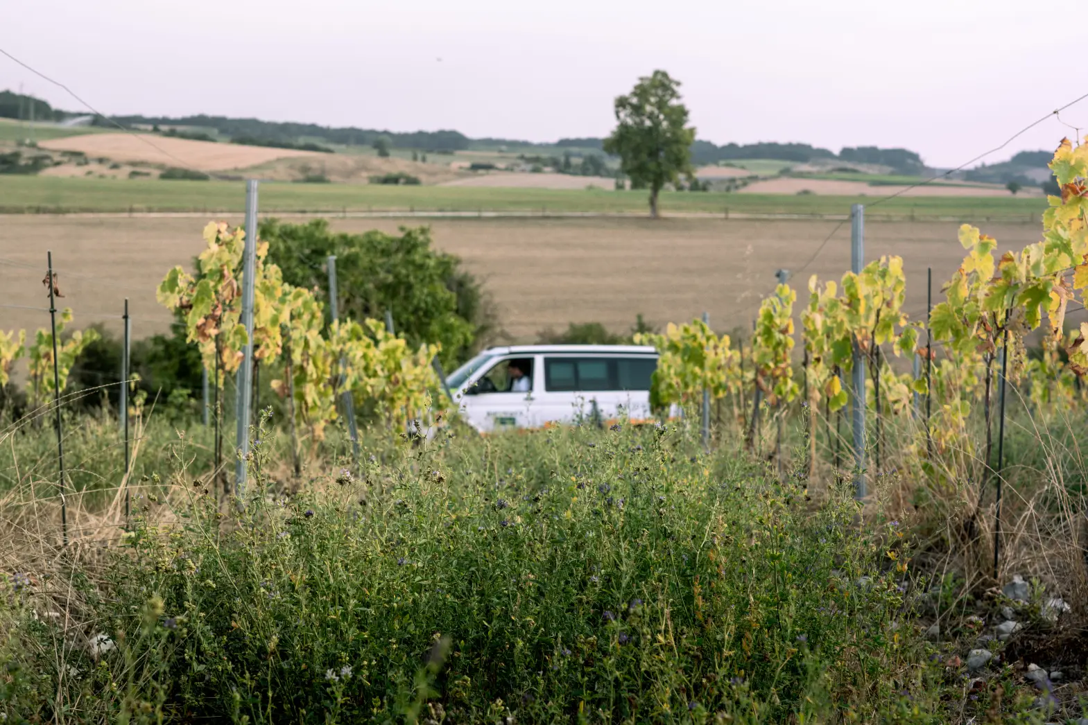 Le Belvédère de Puygrelier #4