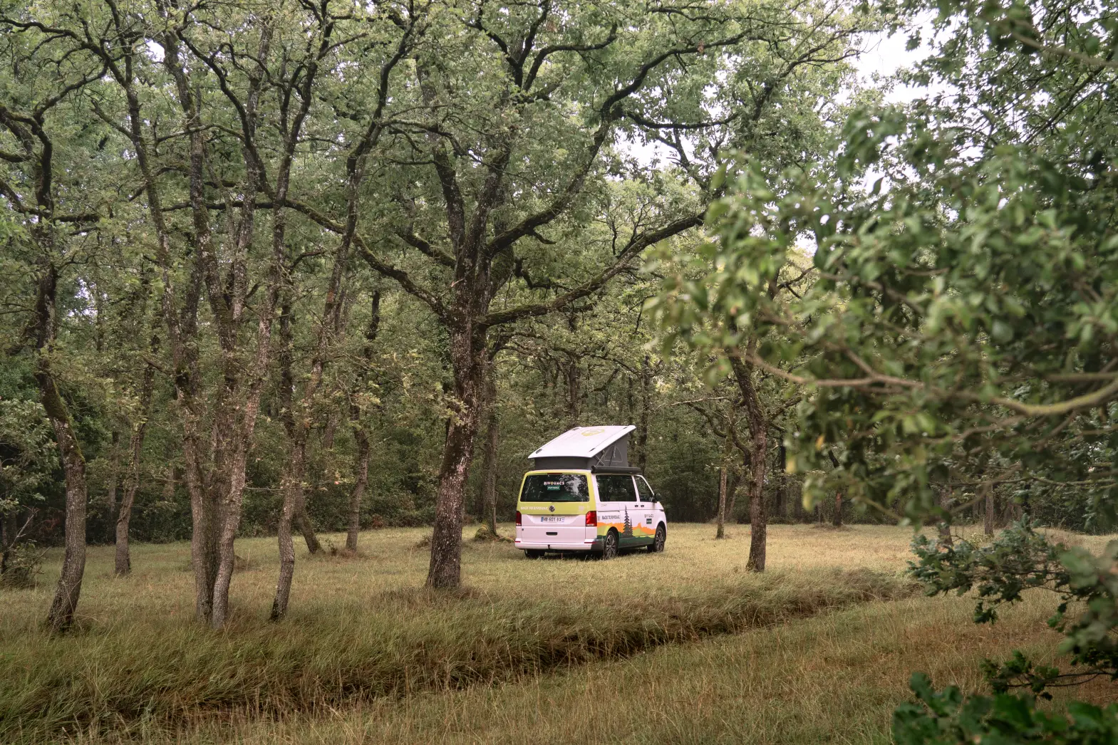 Le Refuge des Bois #4