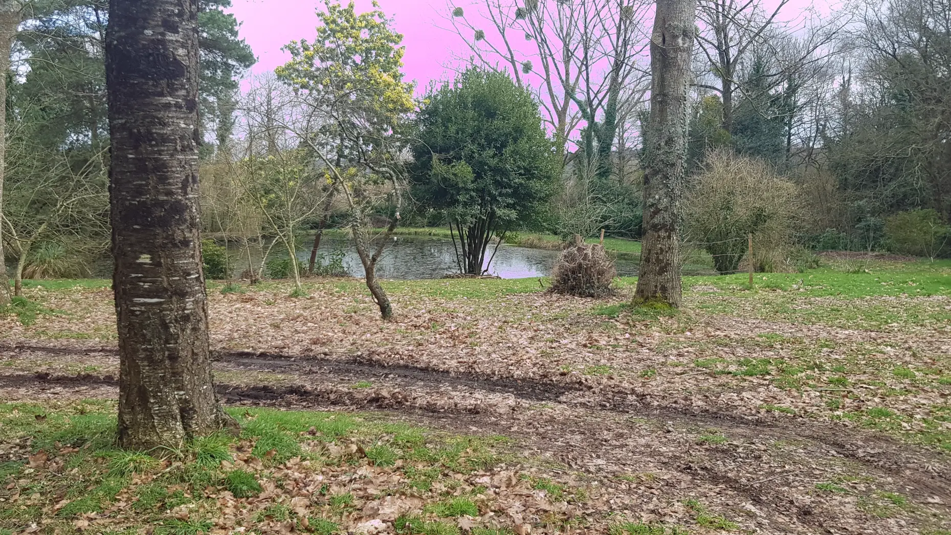 Barradoz Glaz (Au bord de l'étang) #6