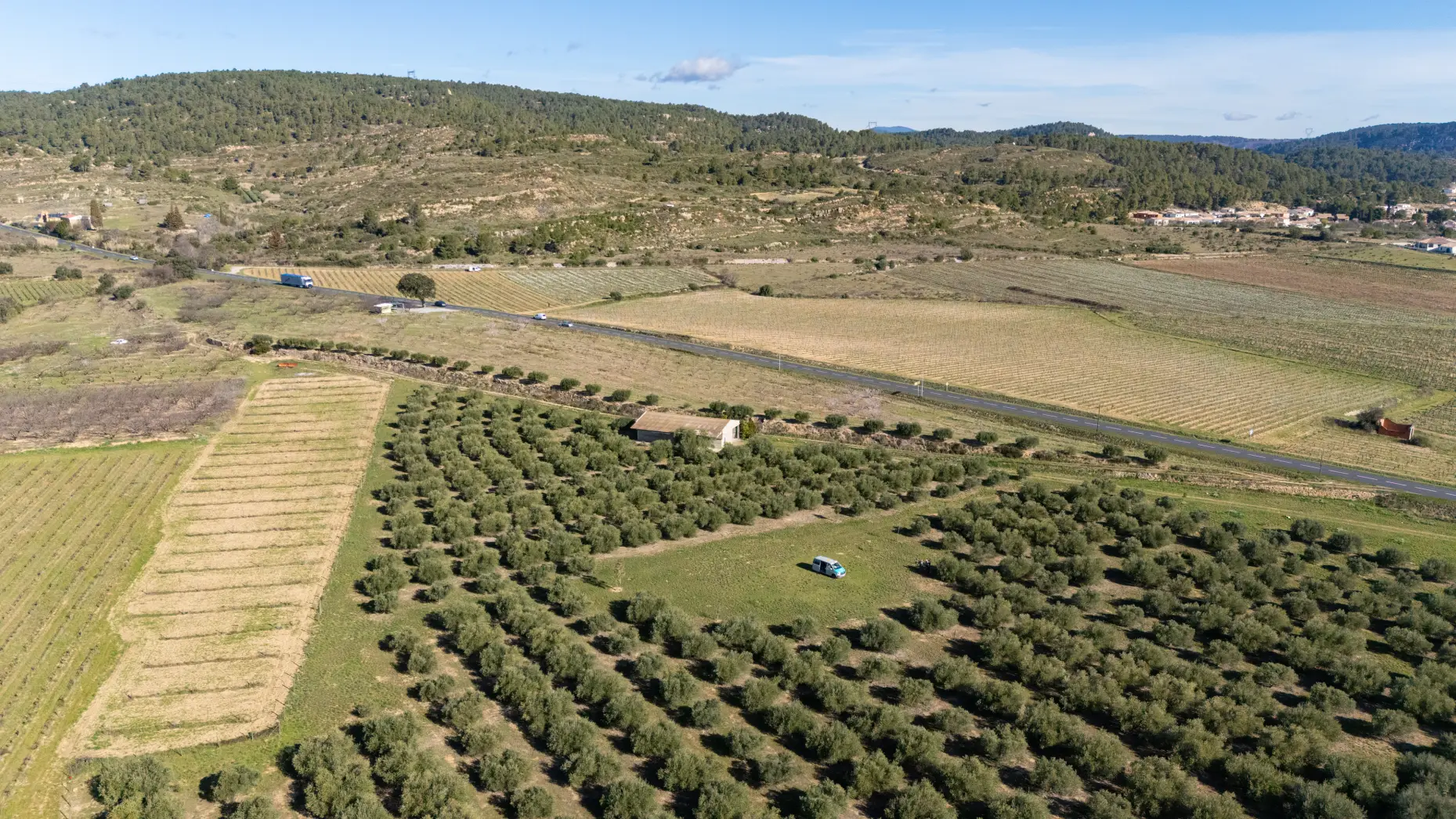 La pause des oliviers 1 #6