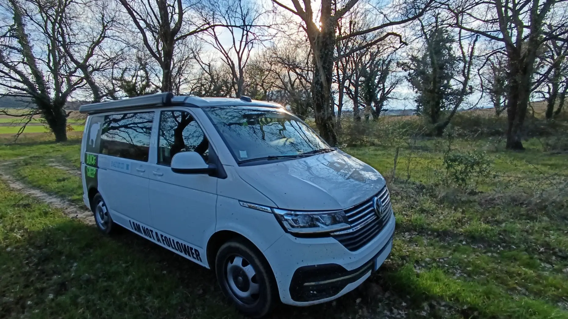 Les éléphants roses