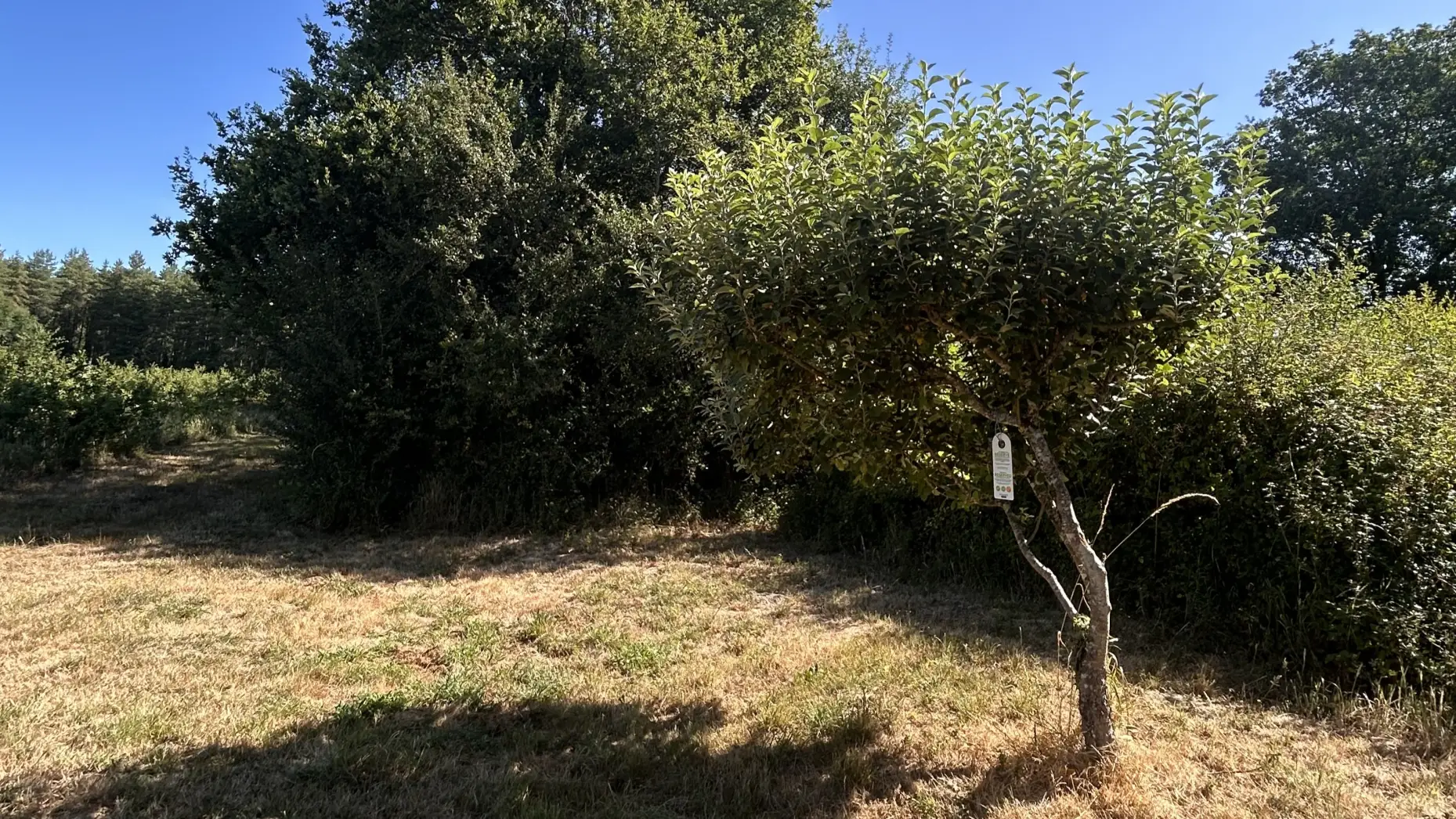 Le Long de la Chêneraie