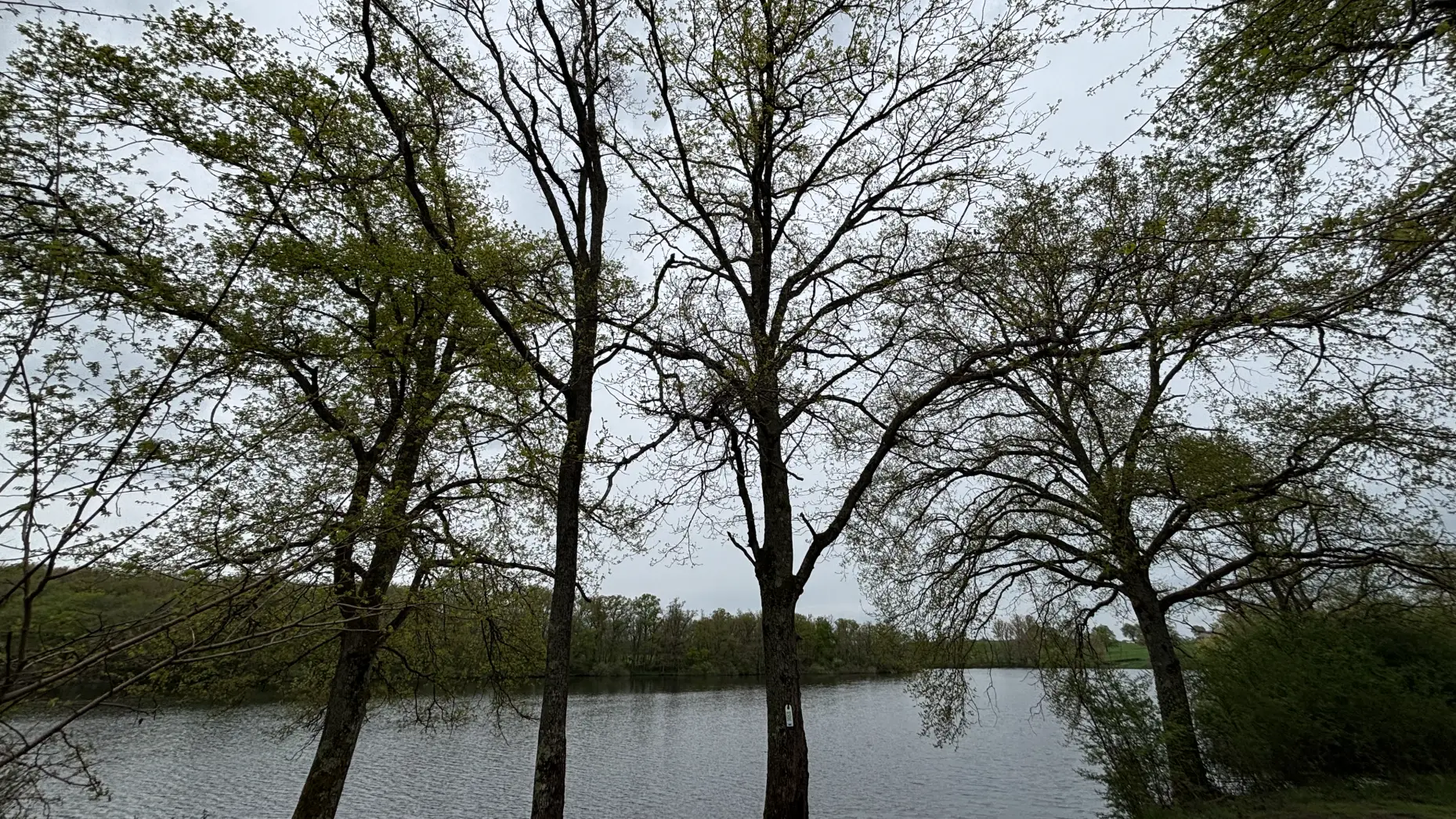 Sous les arbres de Mautaubry