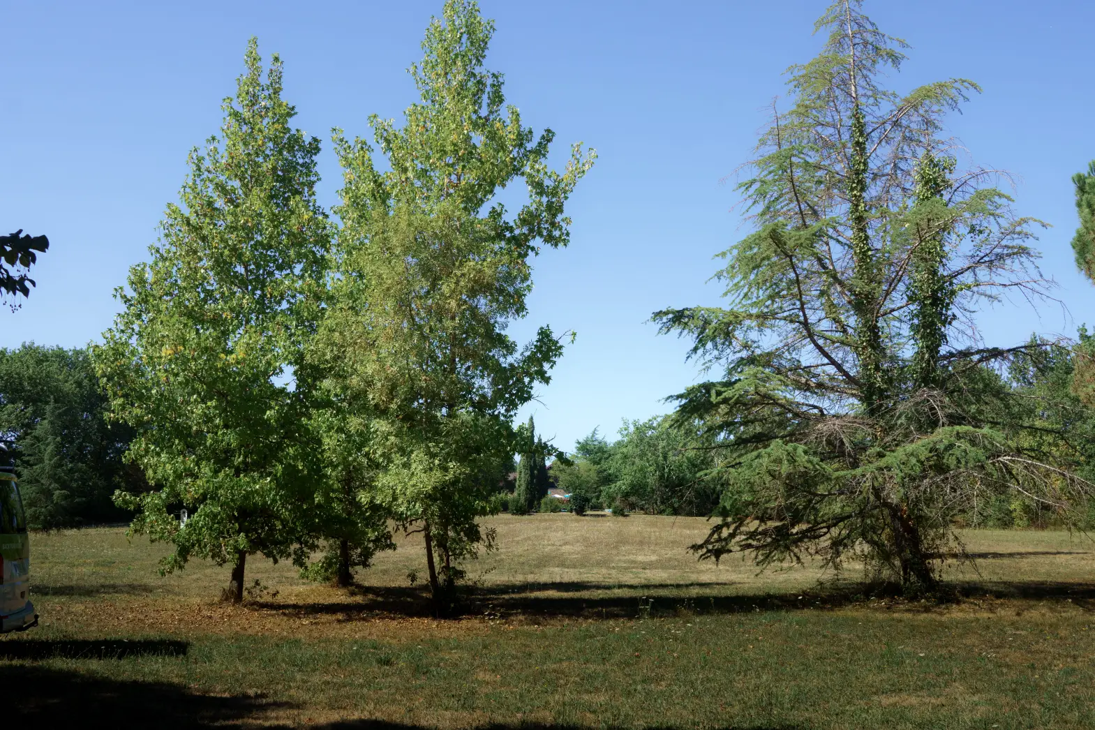 Domaine les garrigues #6