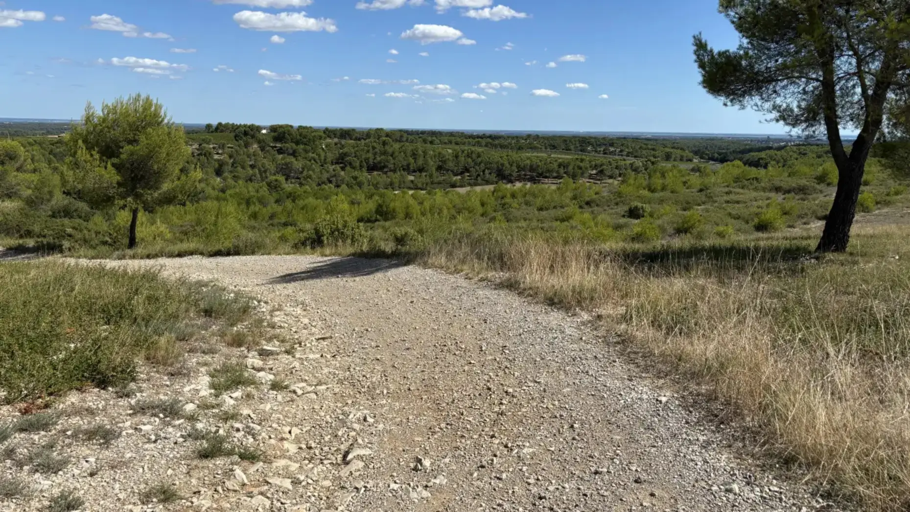 Montaud #8