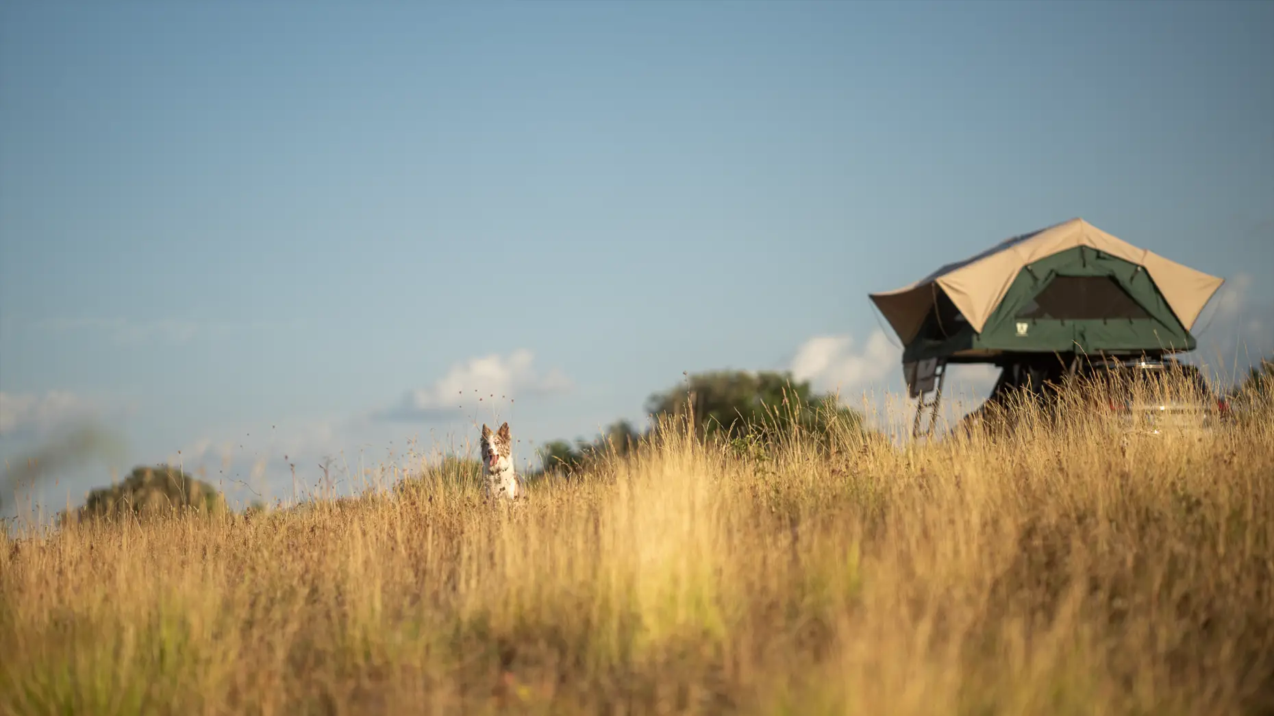 Le Belvédère de la Guanguise #5