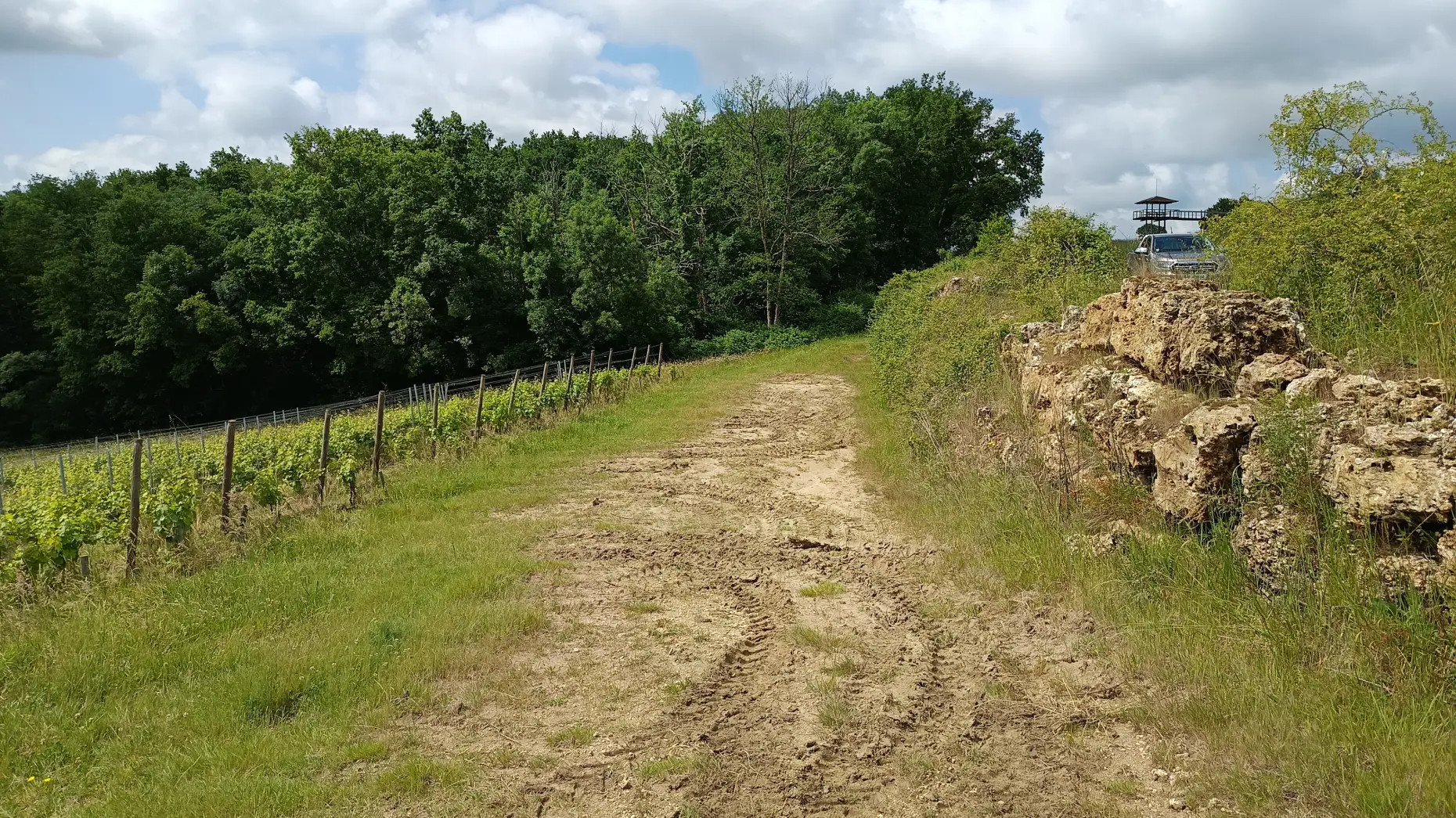 Les vignes de Lavaud 2