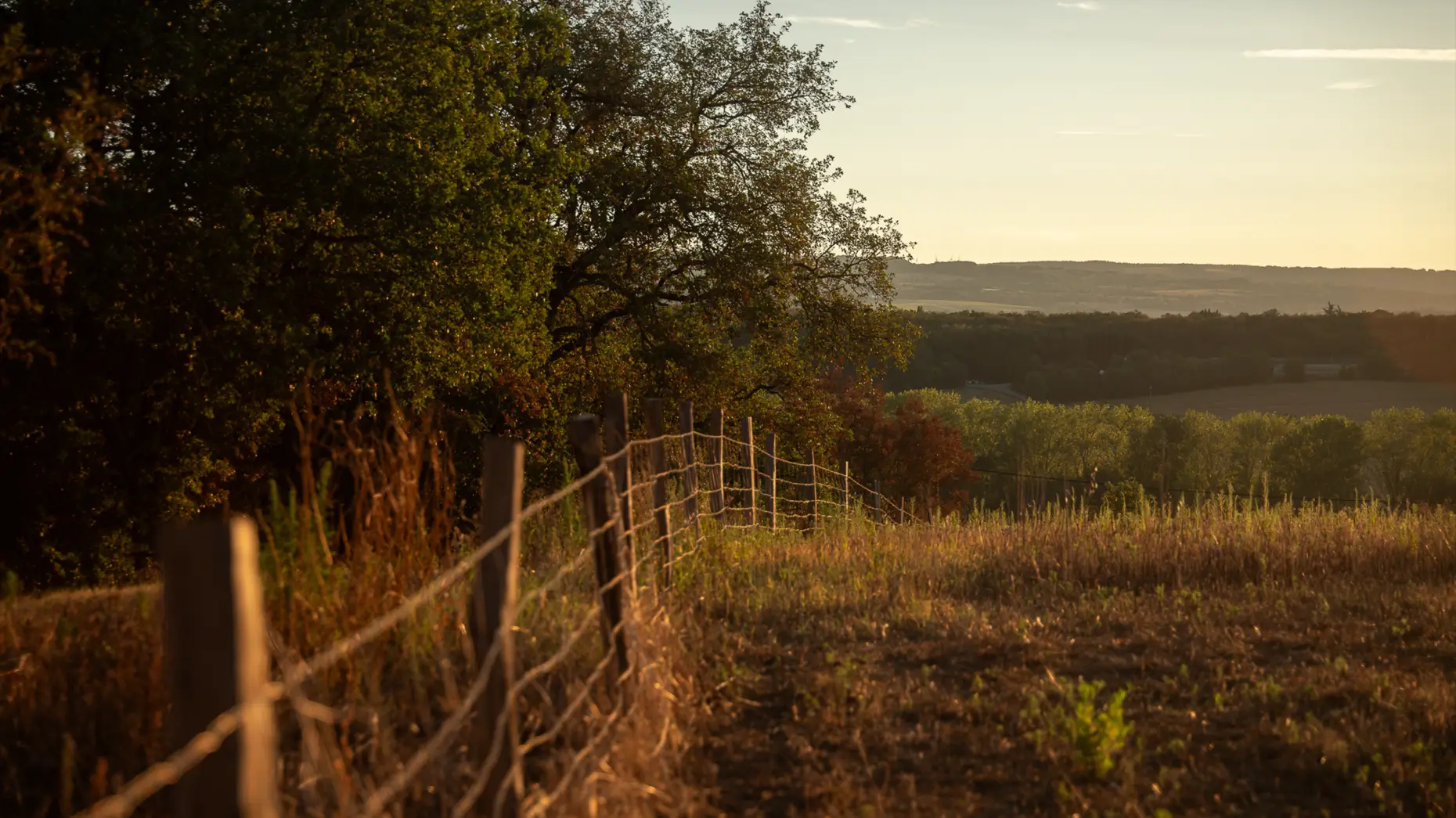 Dans le pré #5