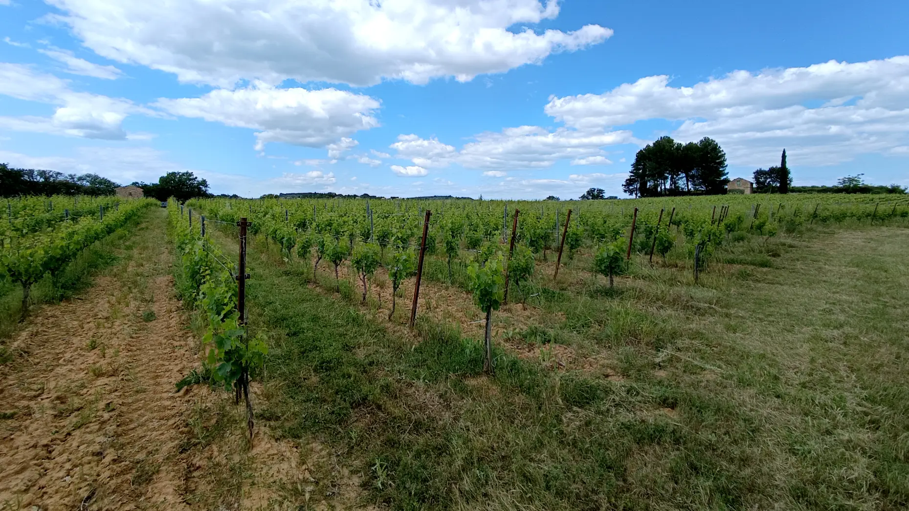 Le recoin de l'obstiné