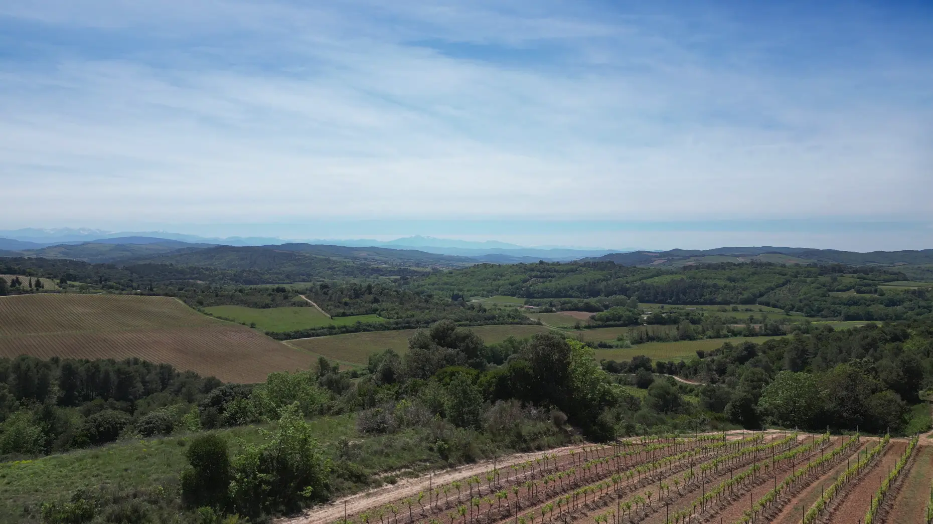 Le Panorama #6