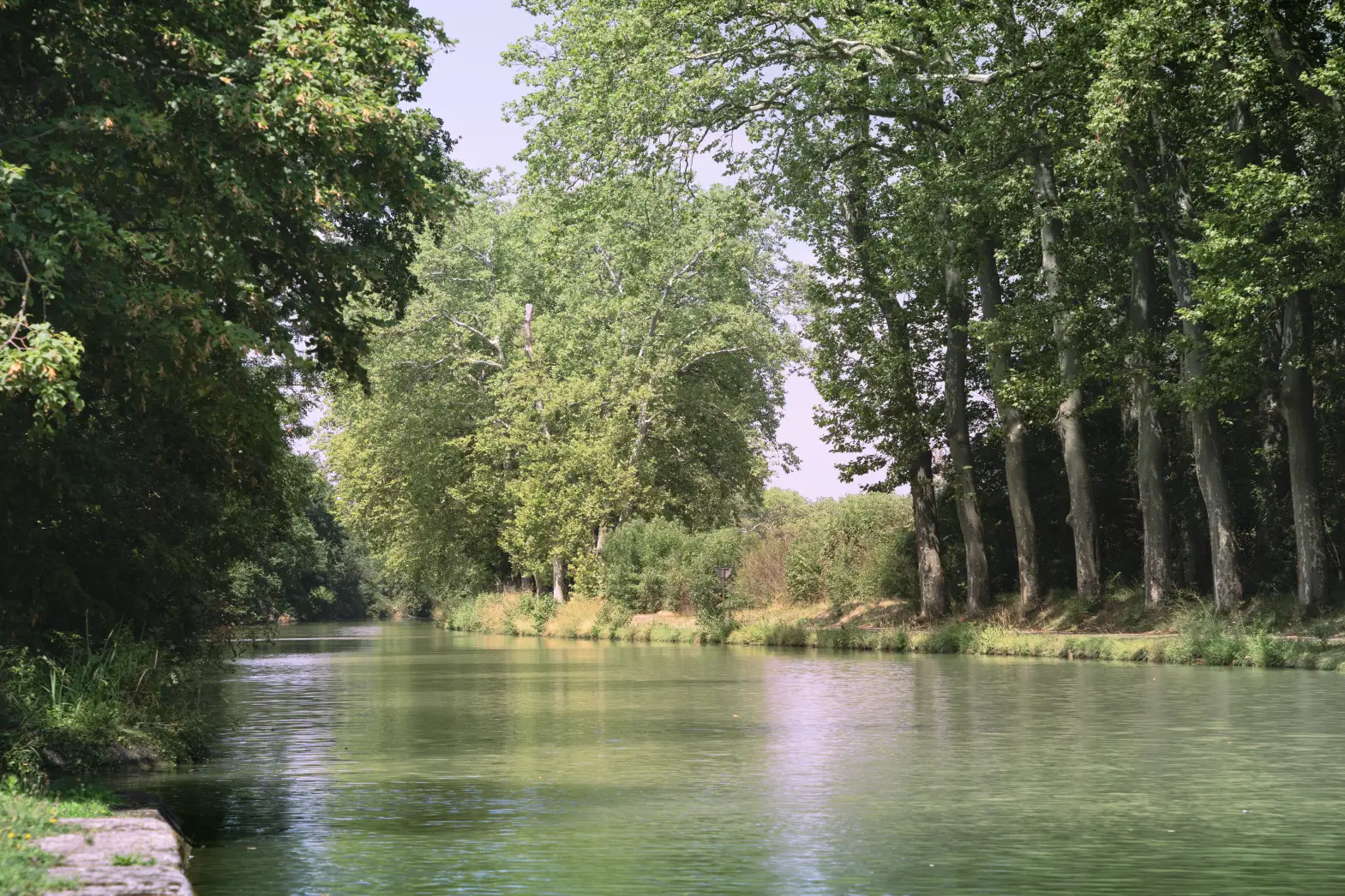 L'Escale du Canal du Midi #6