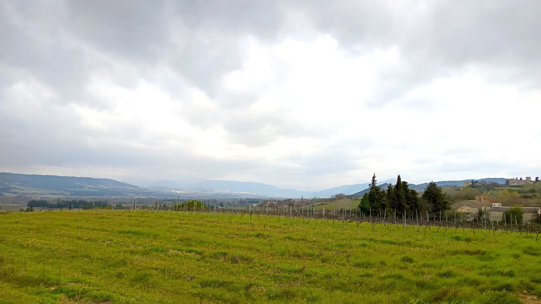 Le domaine du mas des Escarades