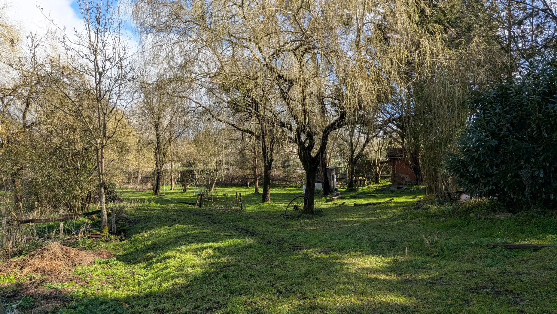 A l'orée des marais #9