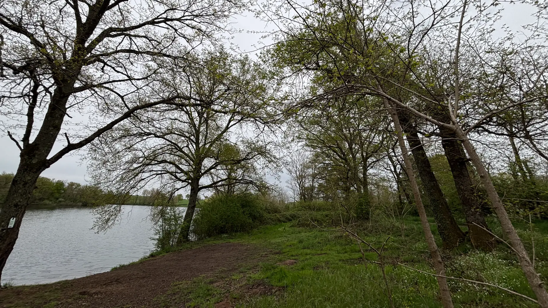 Sous les arbres de Mautaubry