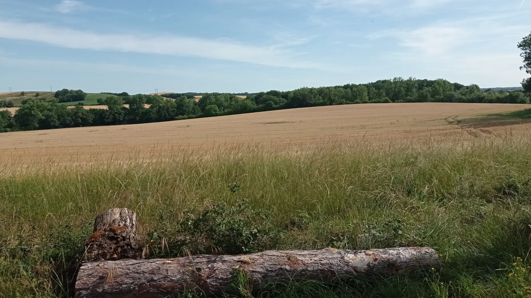 Le Pigeonnier du château #6