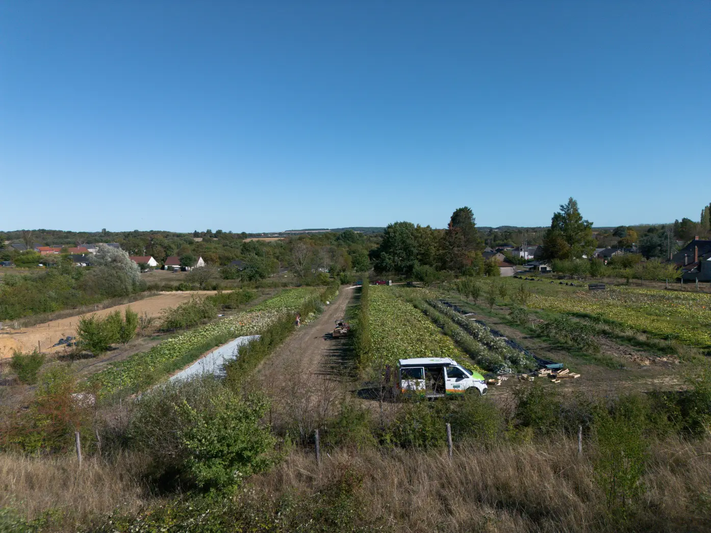Le Potager de Saint-Martin #8