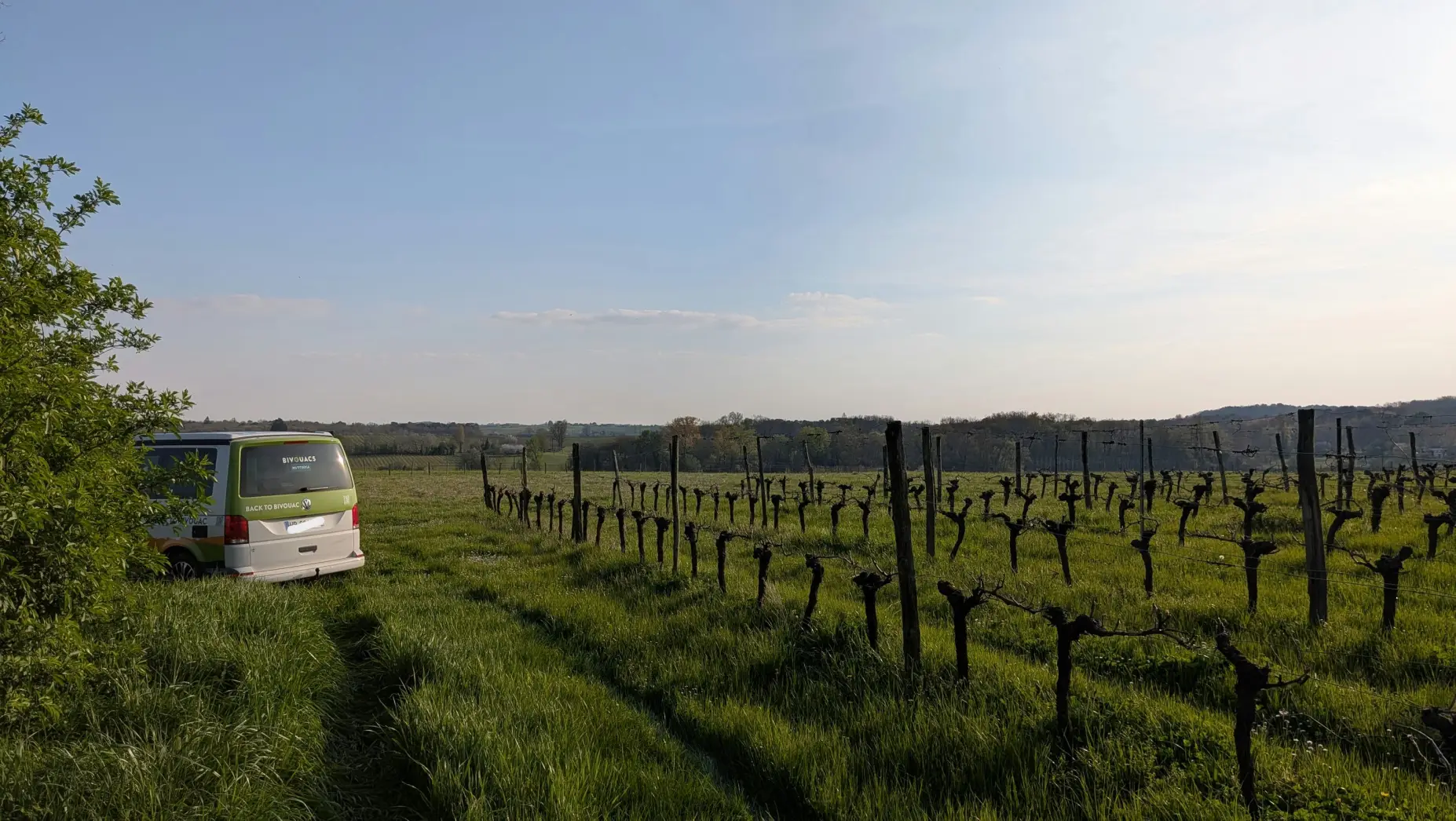 Les Vignes Falgueyret