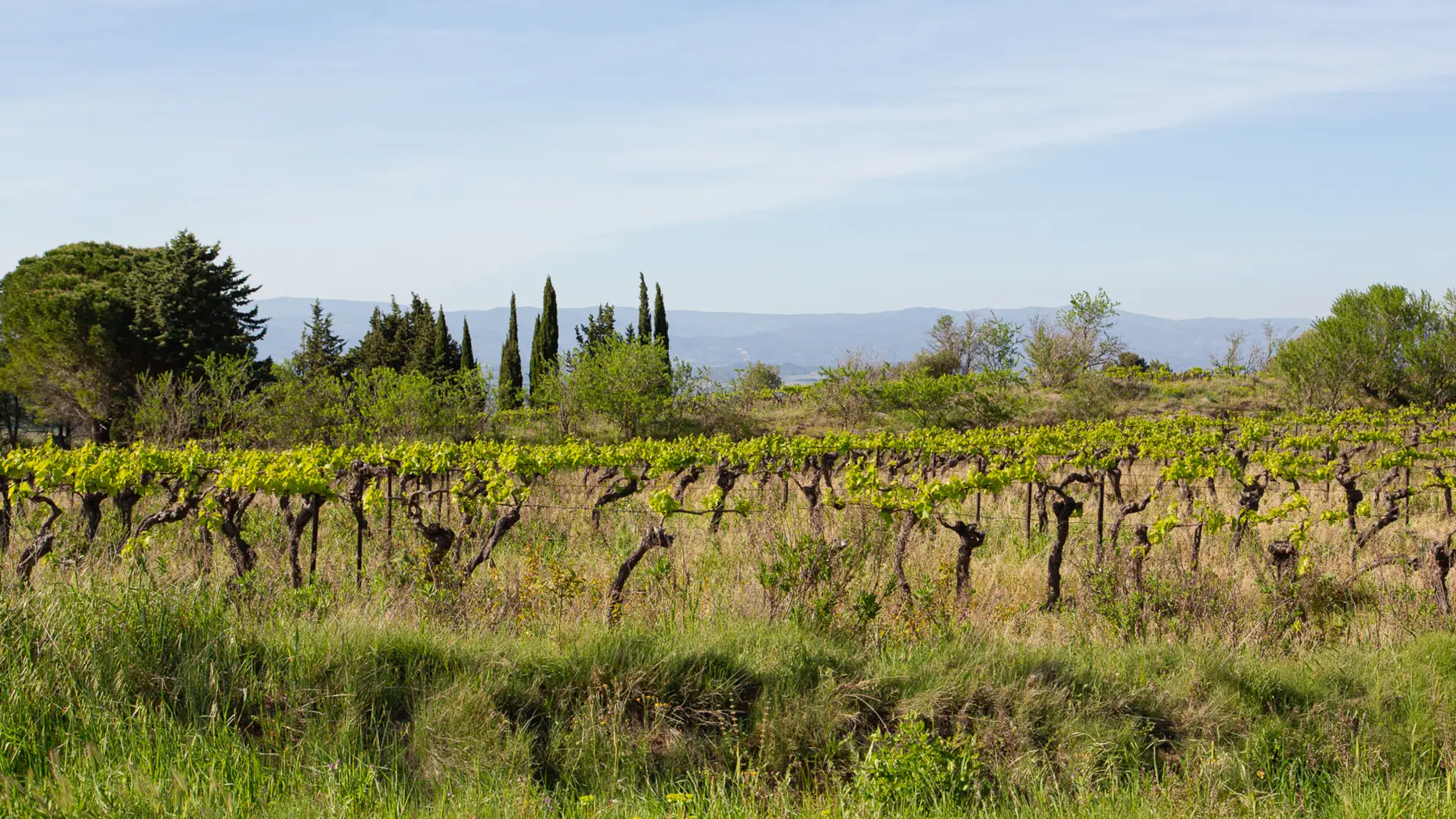 Font de Roque