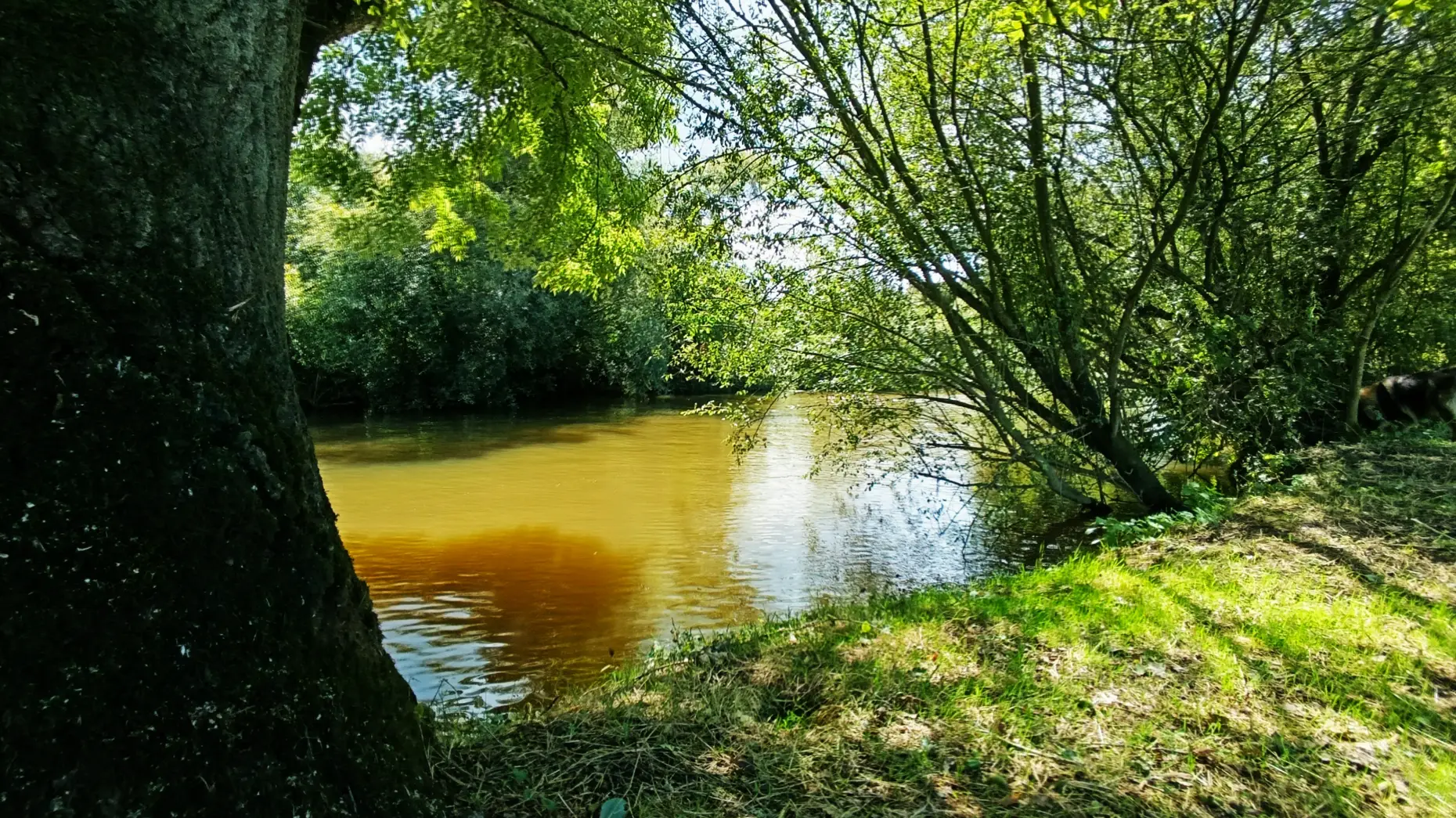Au bord de l'Aff