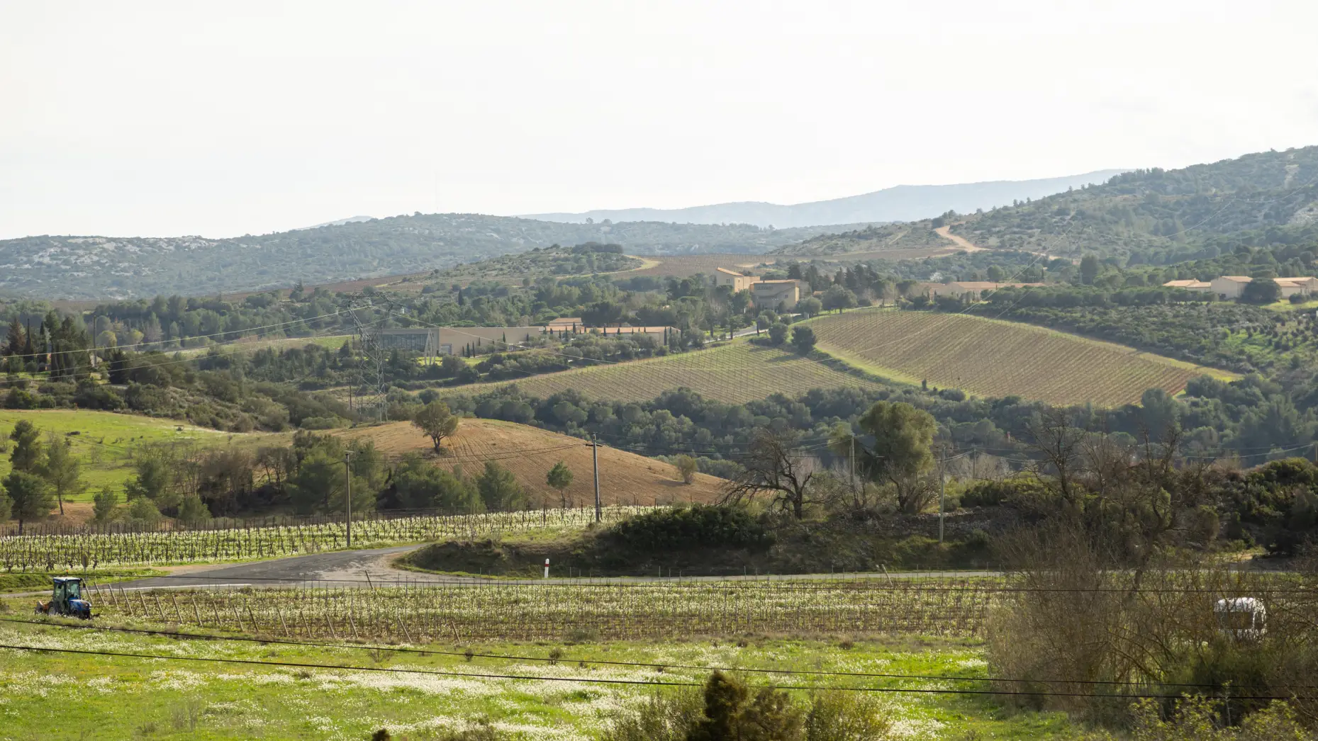 Le circuit des vignes #4