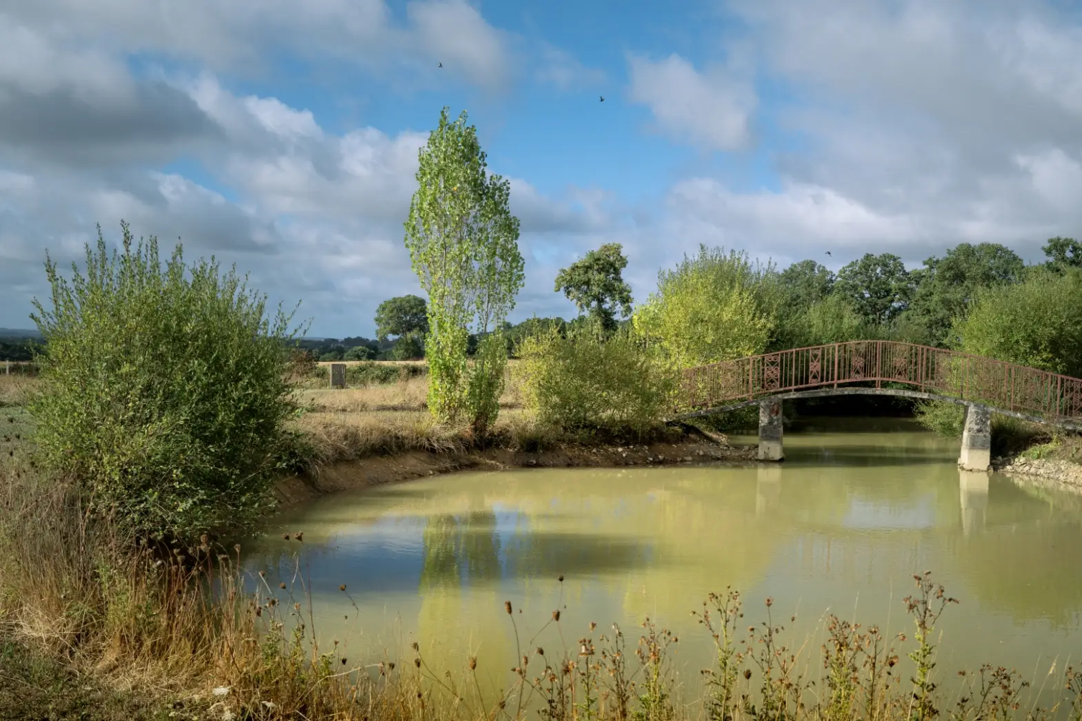Au Petit Pont