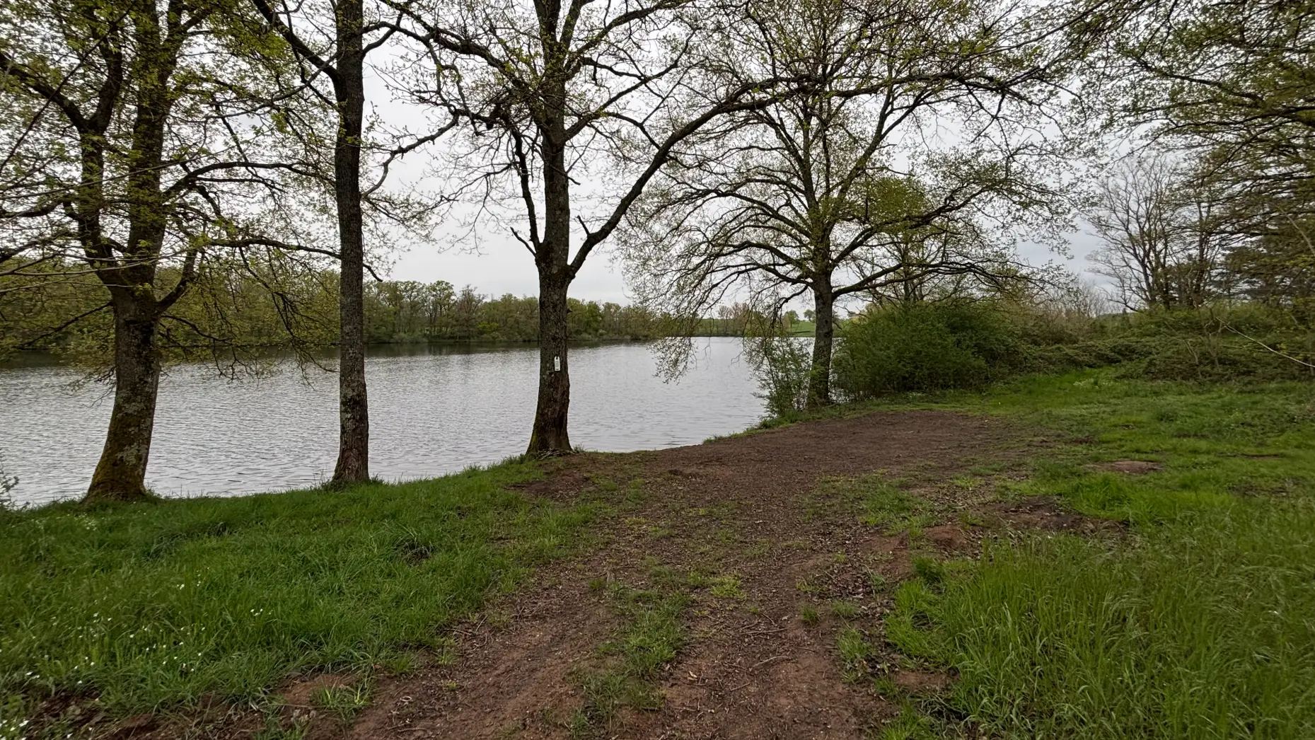 Sous les arbres de Mautaubry #6