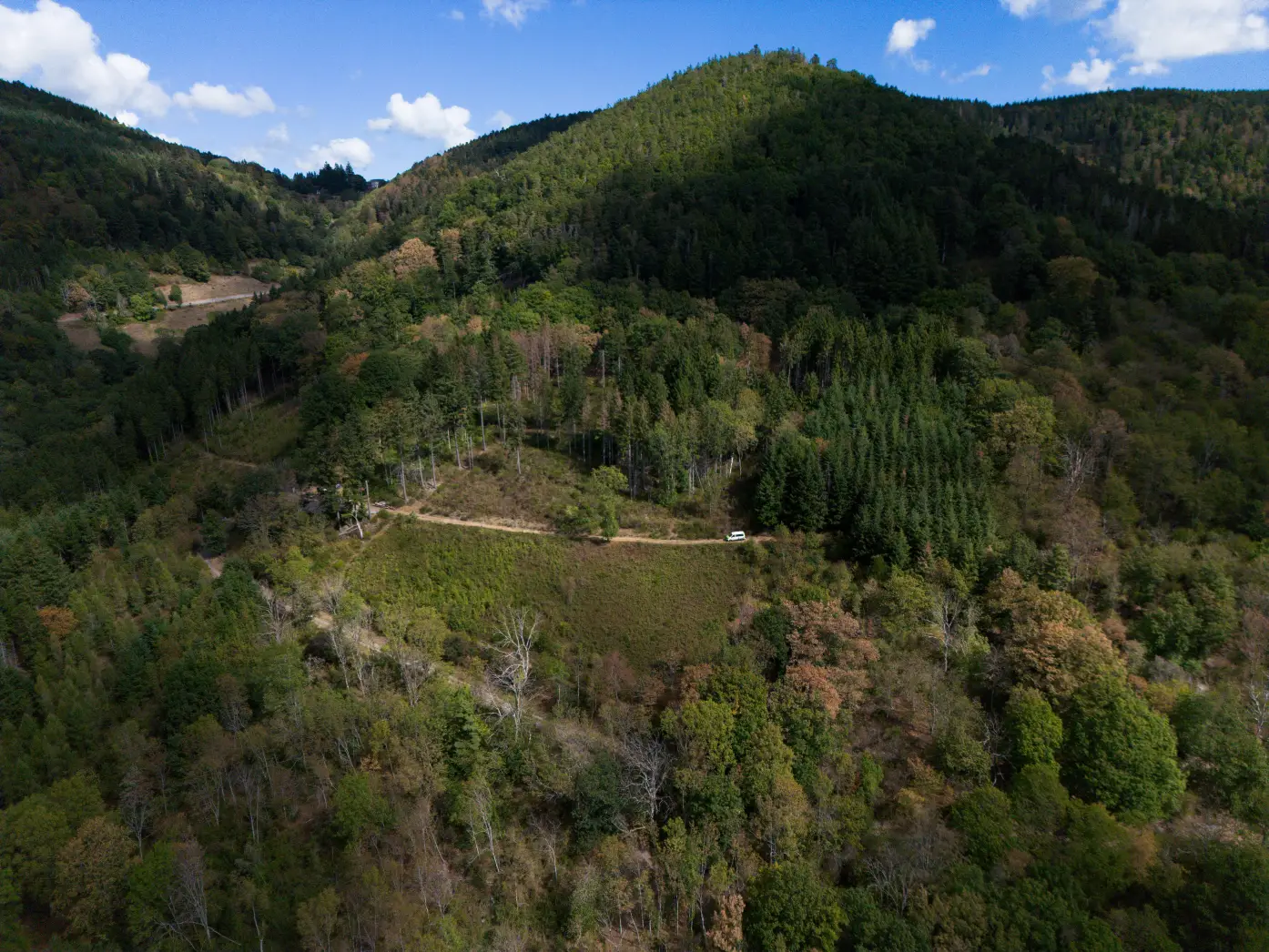 L'Orée des Vosges
