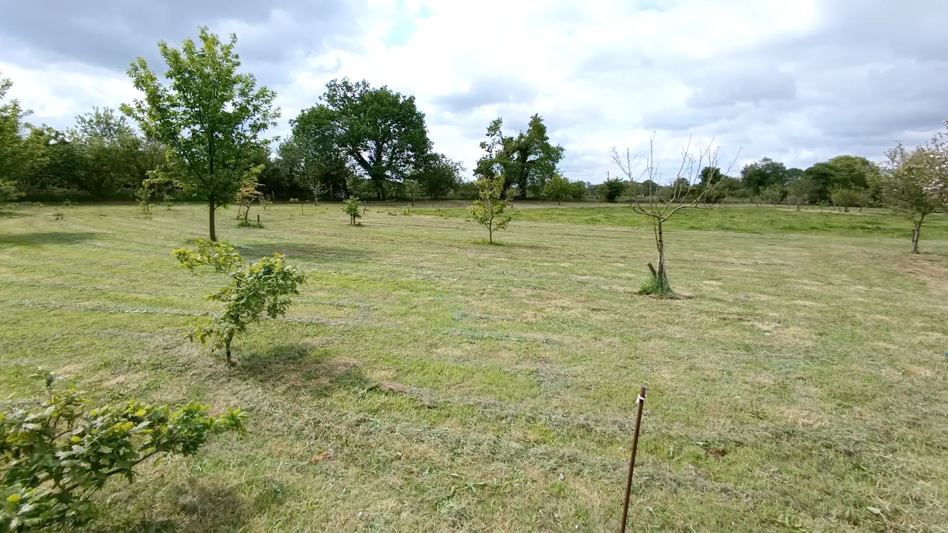 Le verger des tentes