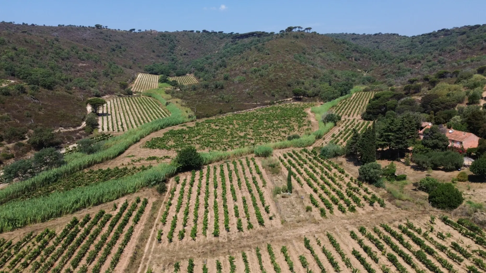 Domaine de la Tourraque