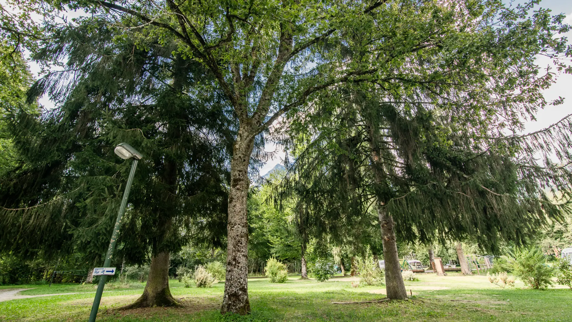 Camping Les Thézières #14