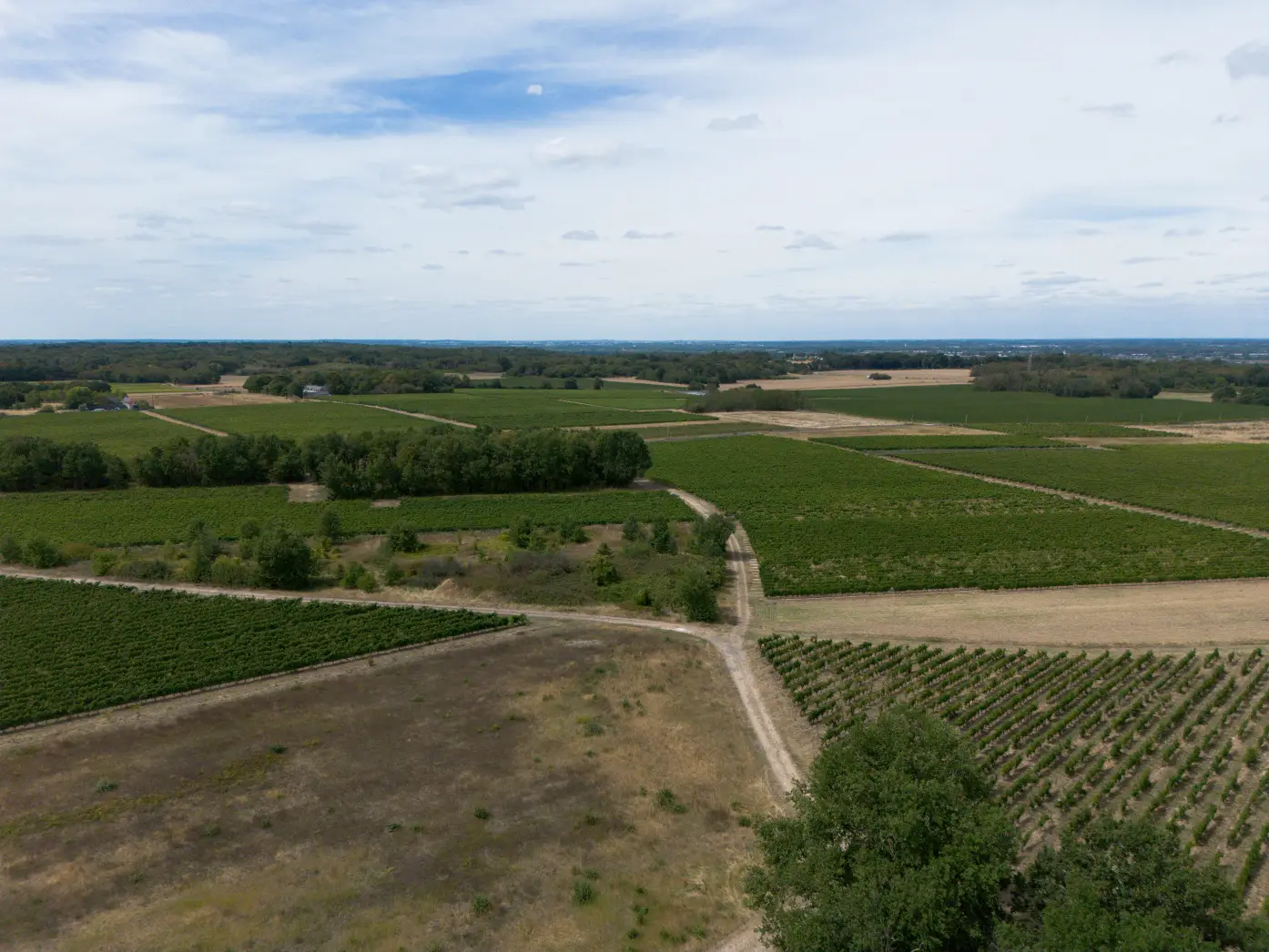 Domaine de bois Mozé #4
