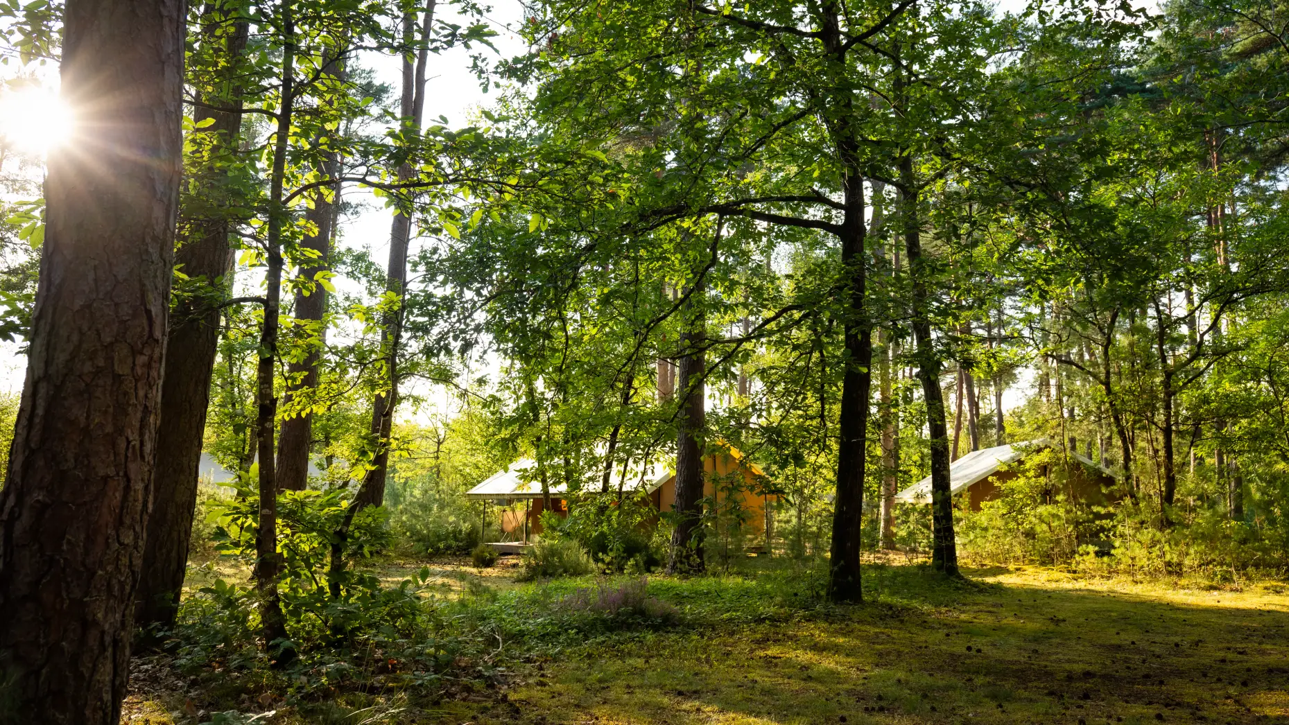 Camping Les Pins #11