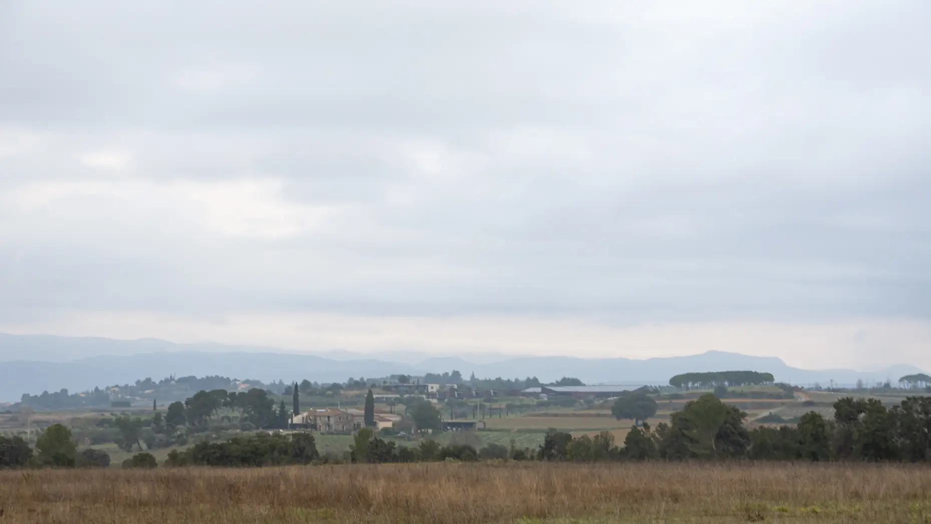 La vue du champ