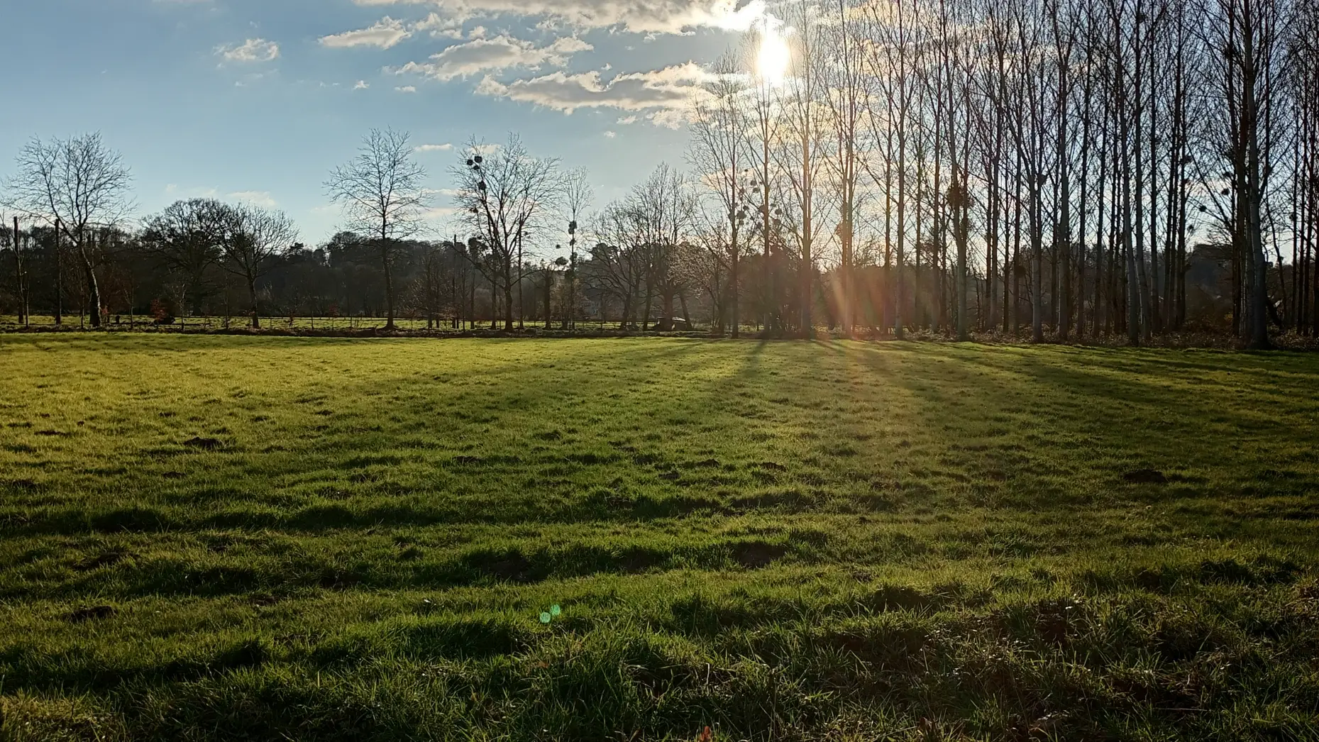 Le bivouac des chèvres heureuses