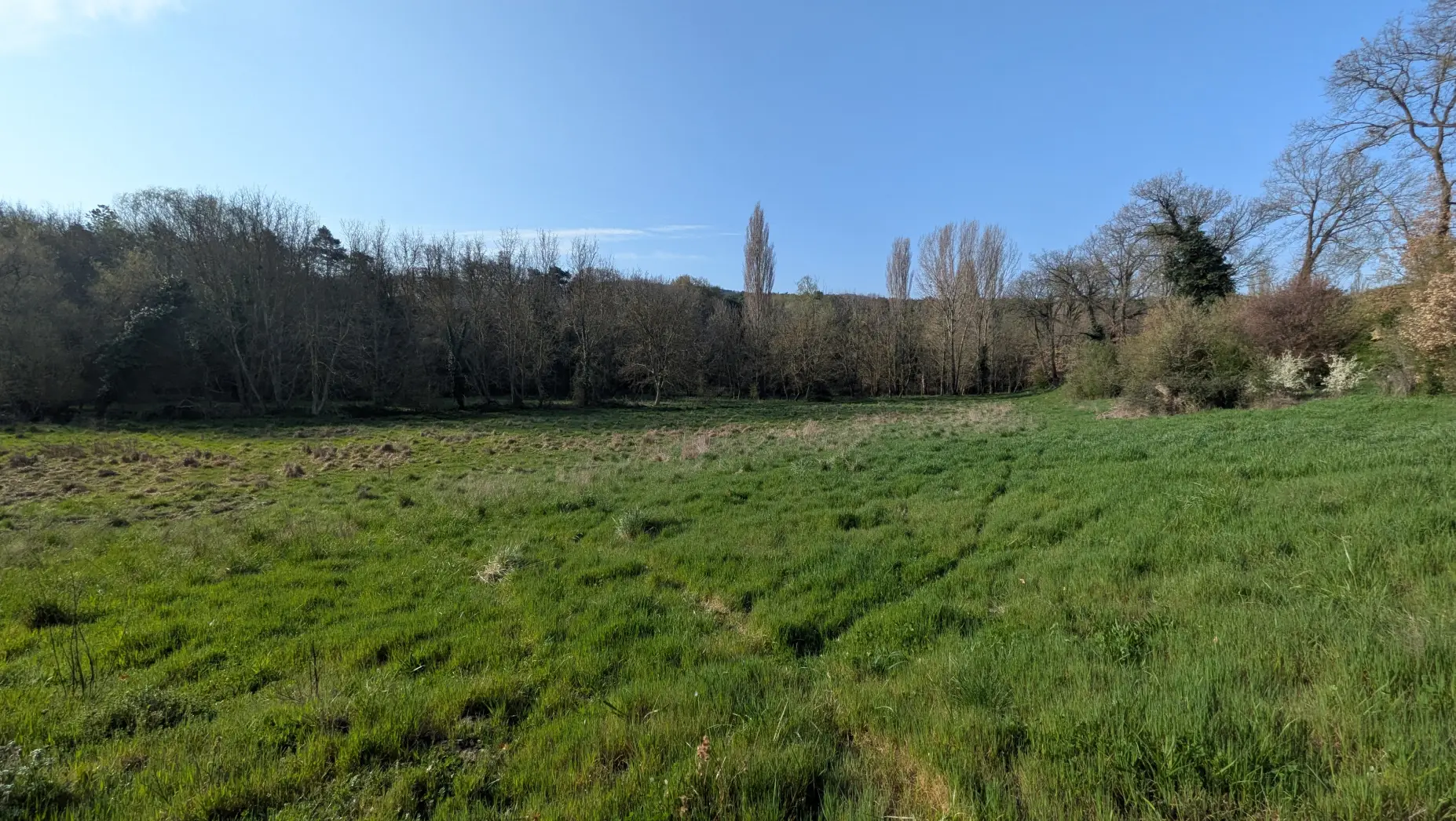 L'Étang du Luberon
