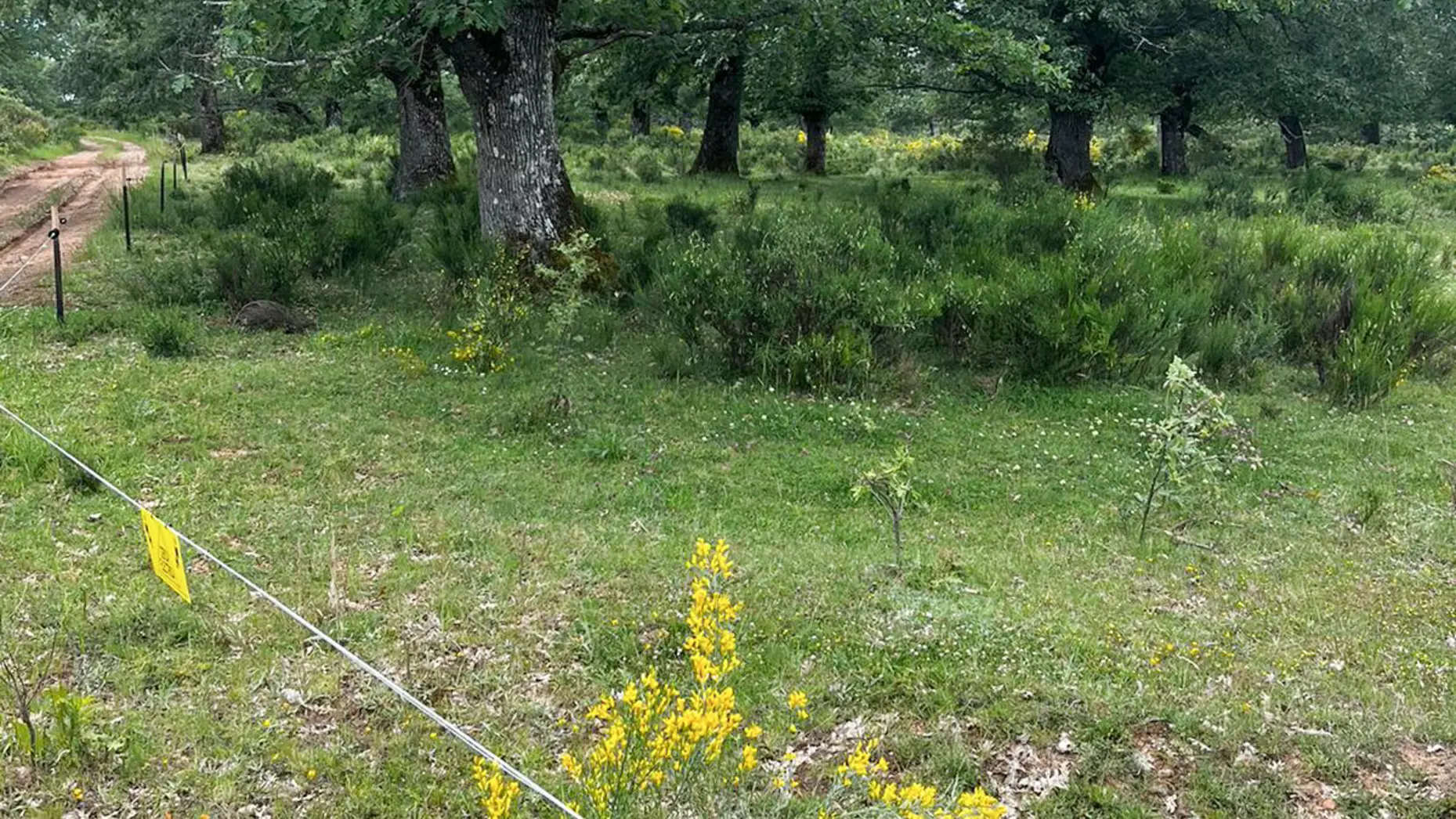 La Majada de Valcuende #4