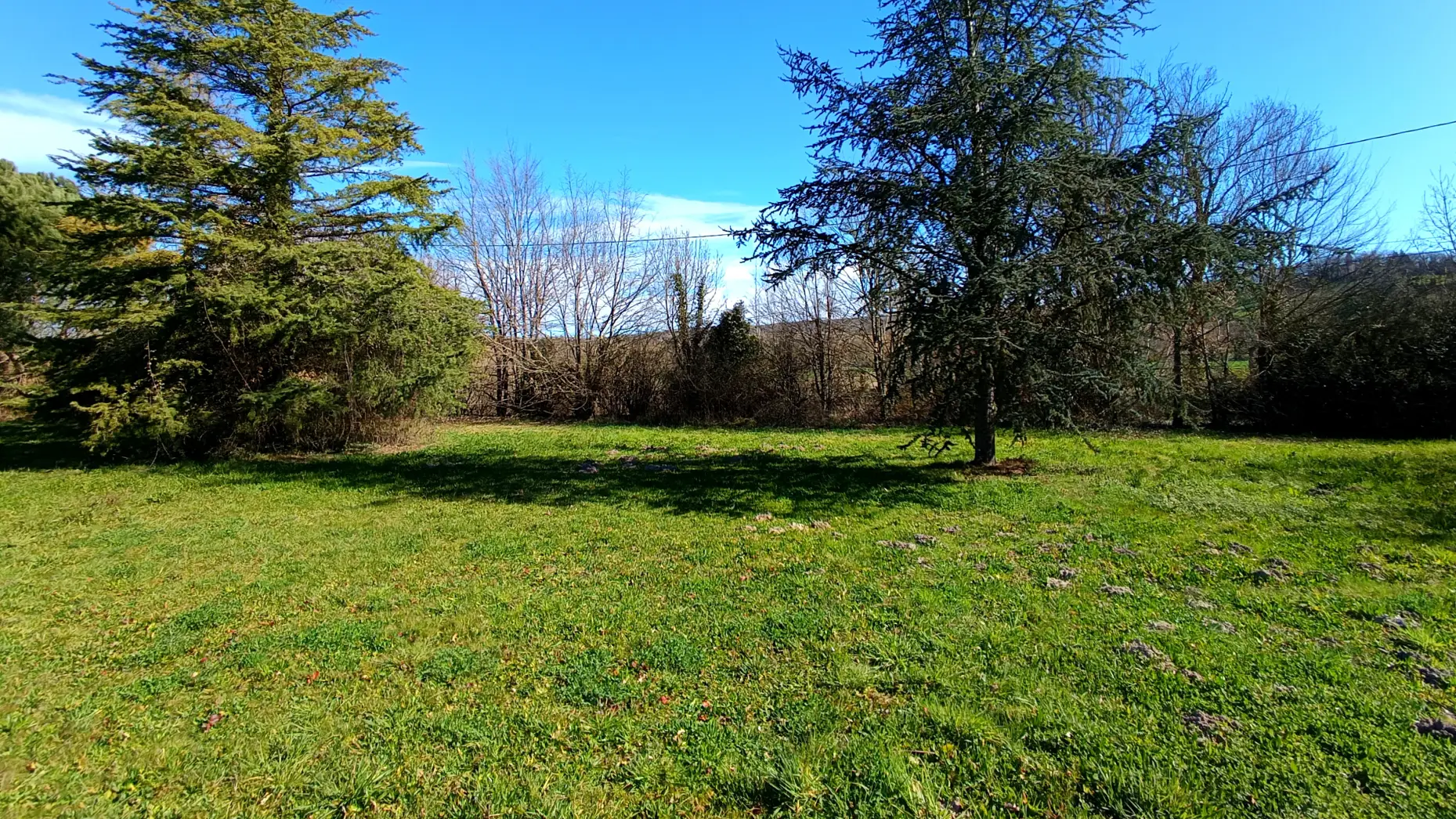 Le bois des garrigues