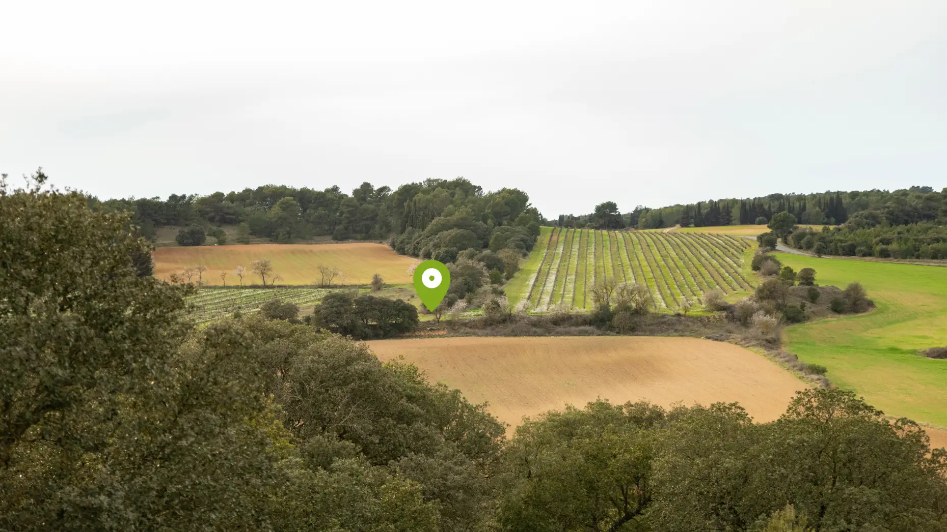 Domaine de Borie Neuve