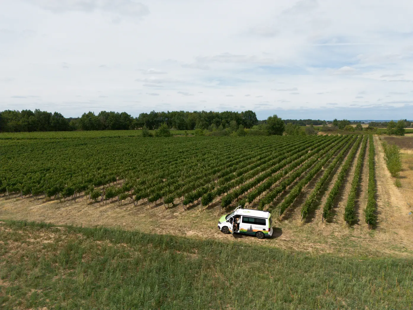 Domaine de bois Mozé 2 #5