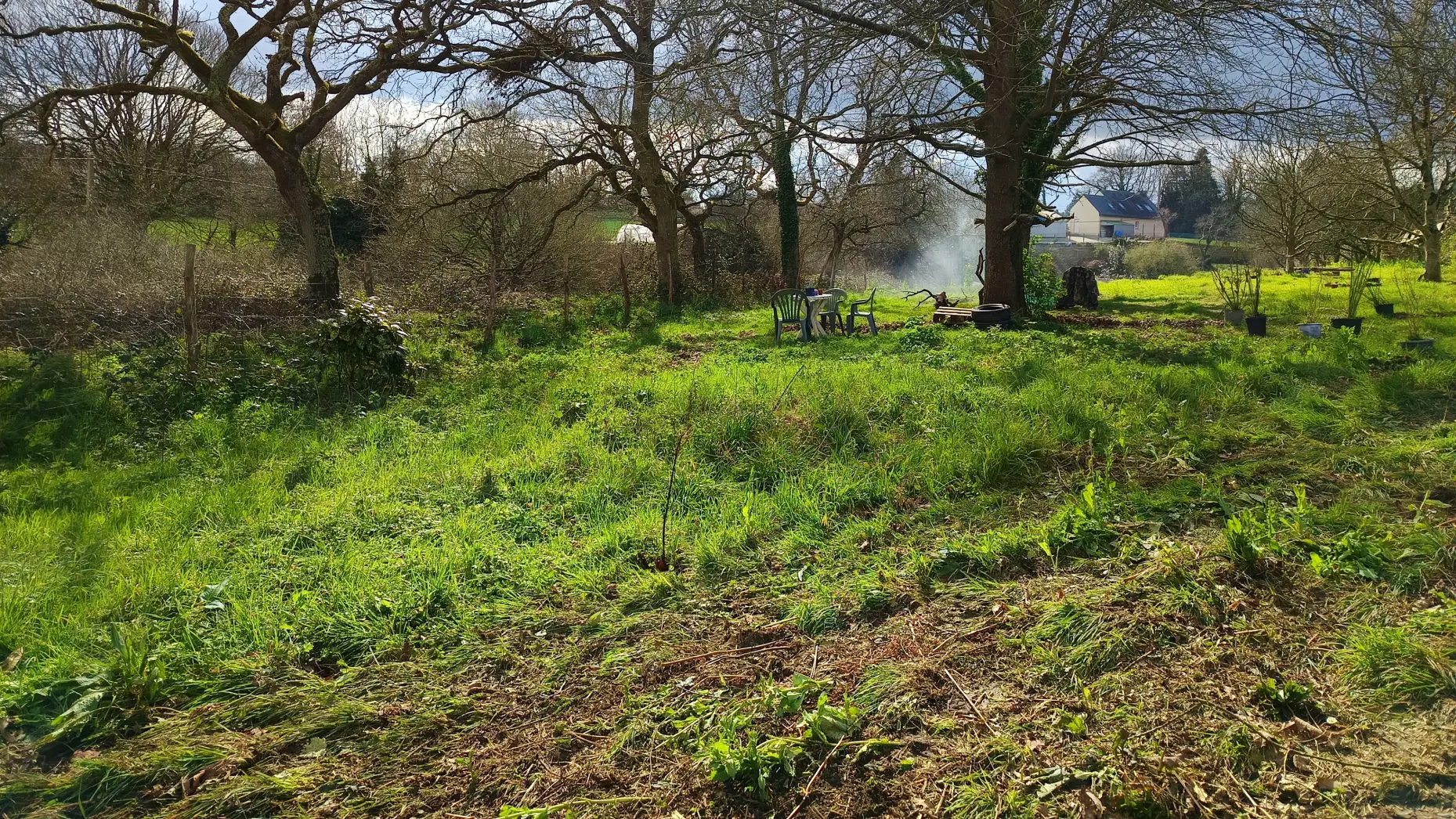 Le champ de Christine