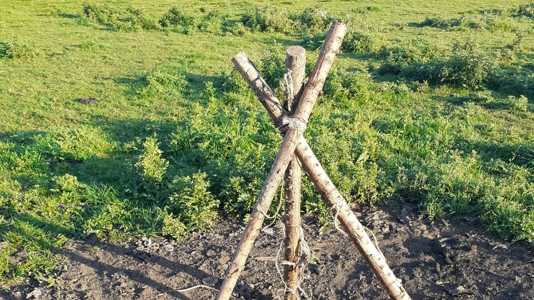 Le pré aux vaches #7