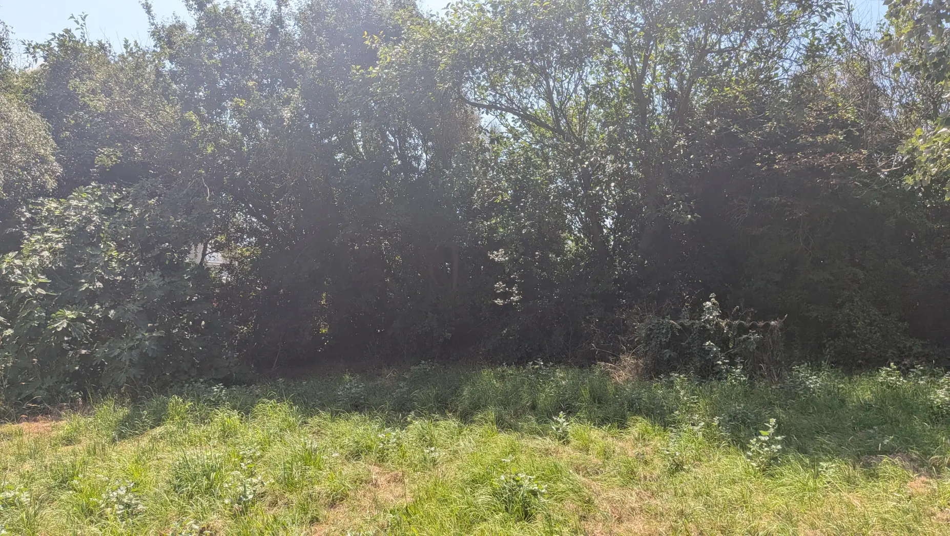 La Ferme de Penhors #4