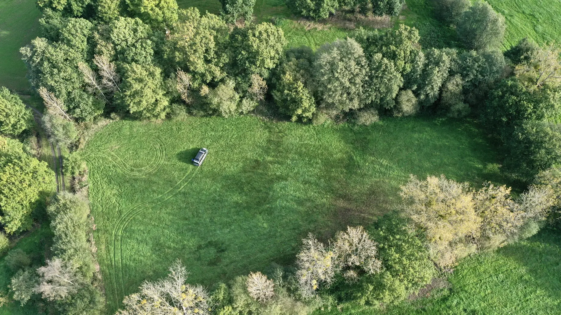 ClairiĂšre de la ForĂȘt EnchantĂ©e #5