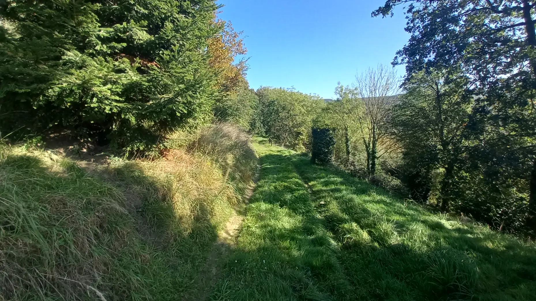 Les Coteaux de Goffontaine #5