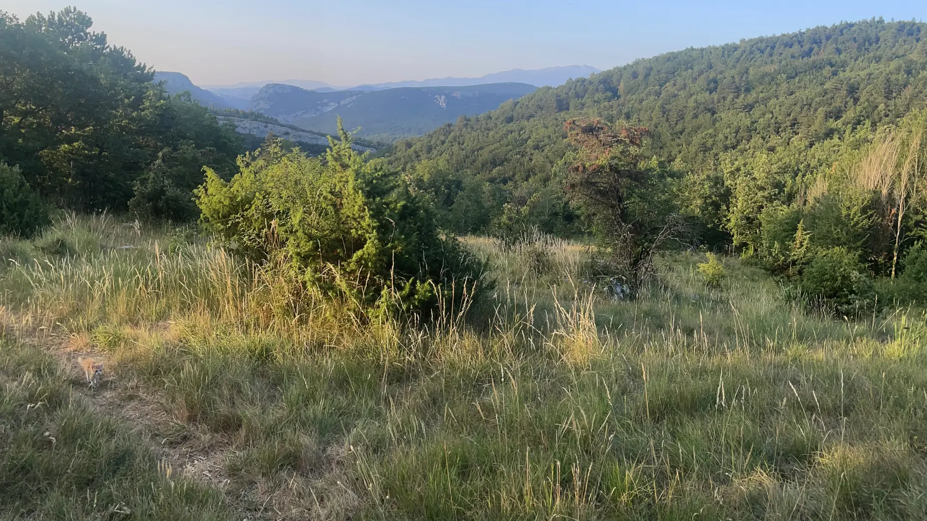 Les champs du Galamus