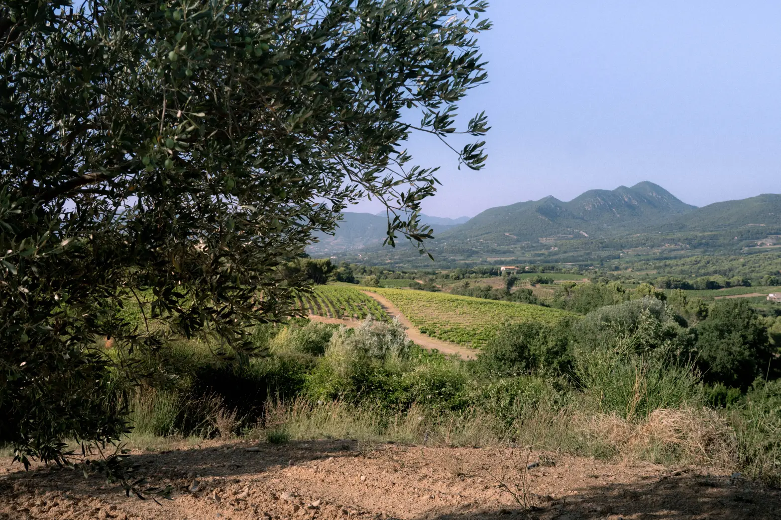 Face au Ventoux #4